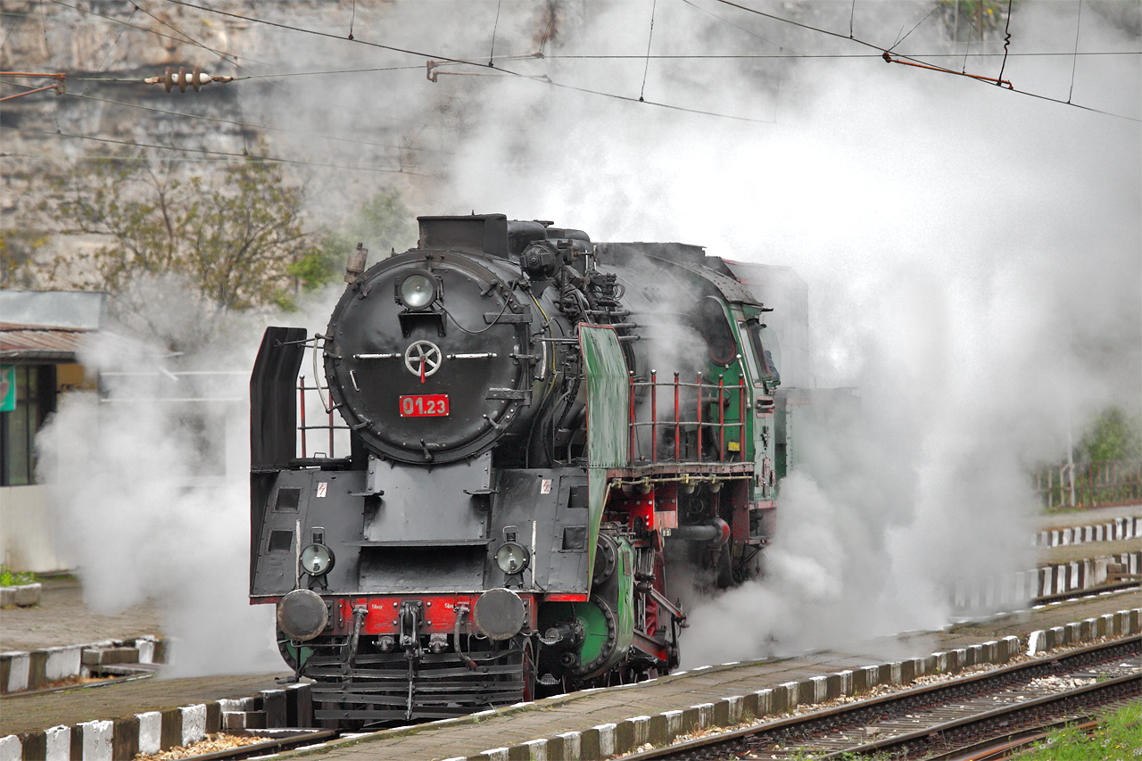 SLM 2-8-2 (BDZh) – photo 11