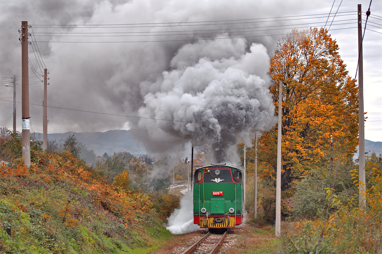 Fablok BDZh 600.76 – photo 13