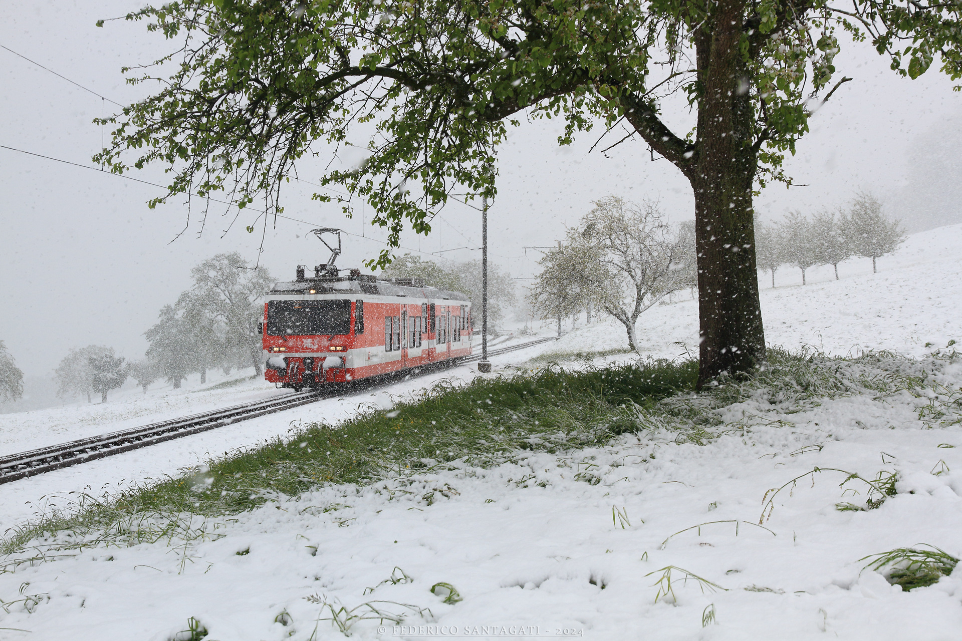 SLM RHB BDeh 3/6 – photo 3