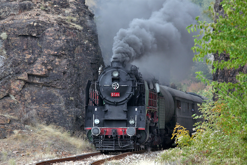SLM 2-8-2 (BDZh) – photo 3