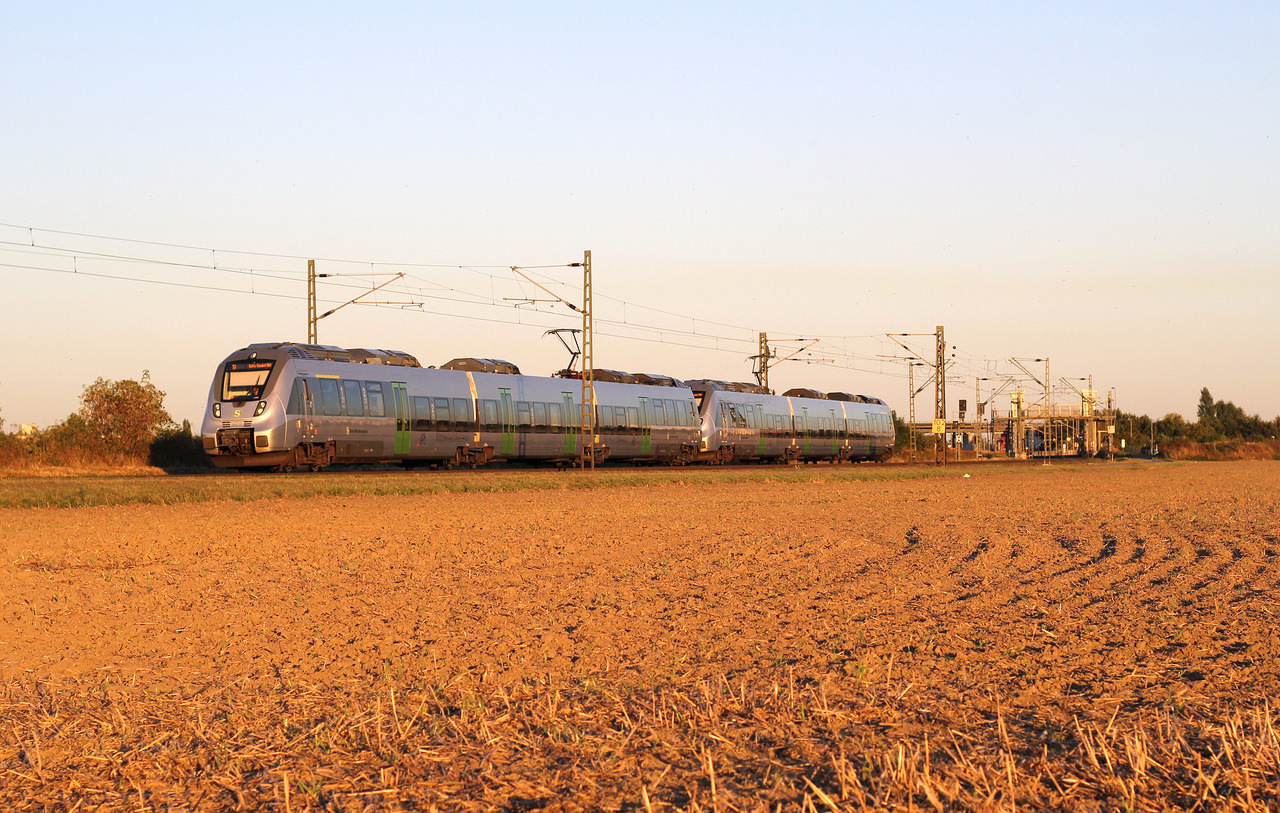 Bombardier DB 442.1 Dreiteilig – photo 15