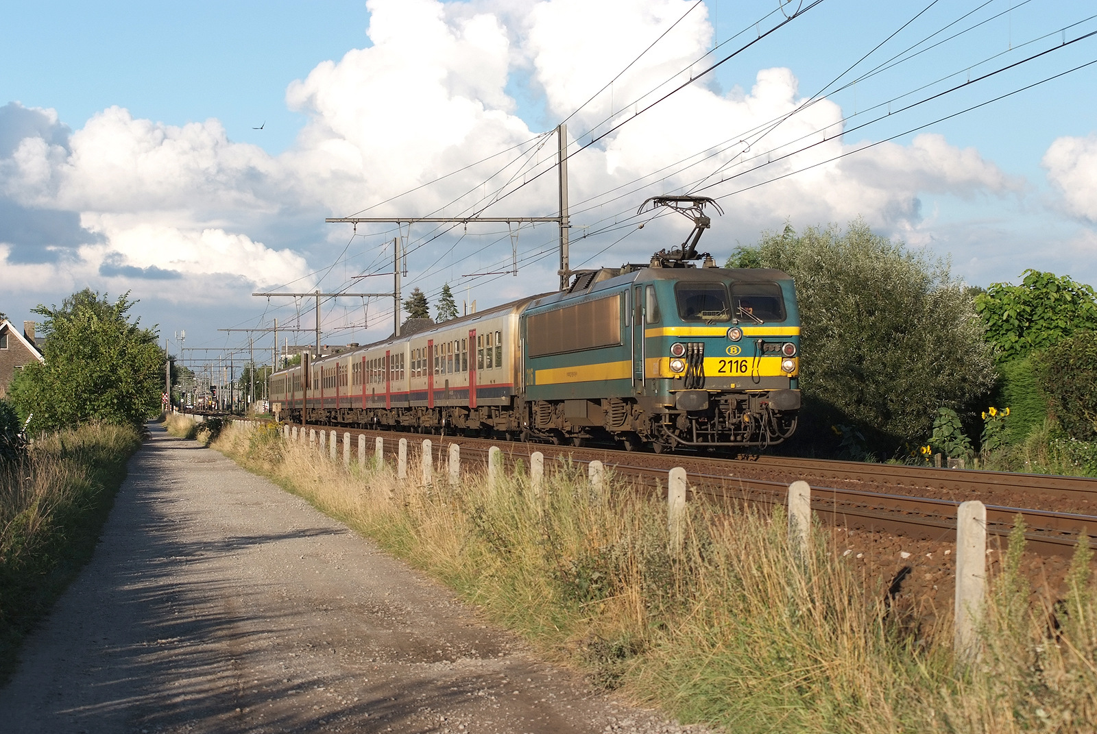 ACEC HLE 21 – foto 21