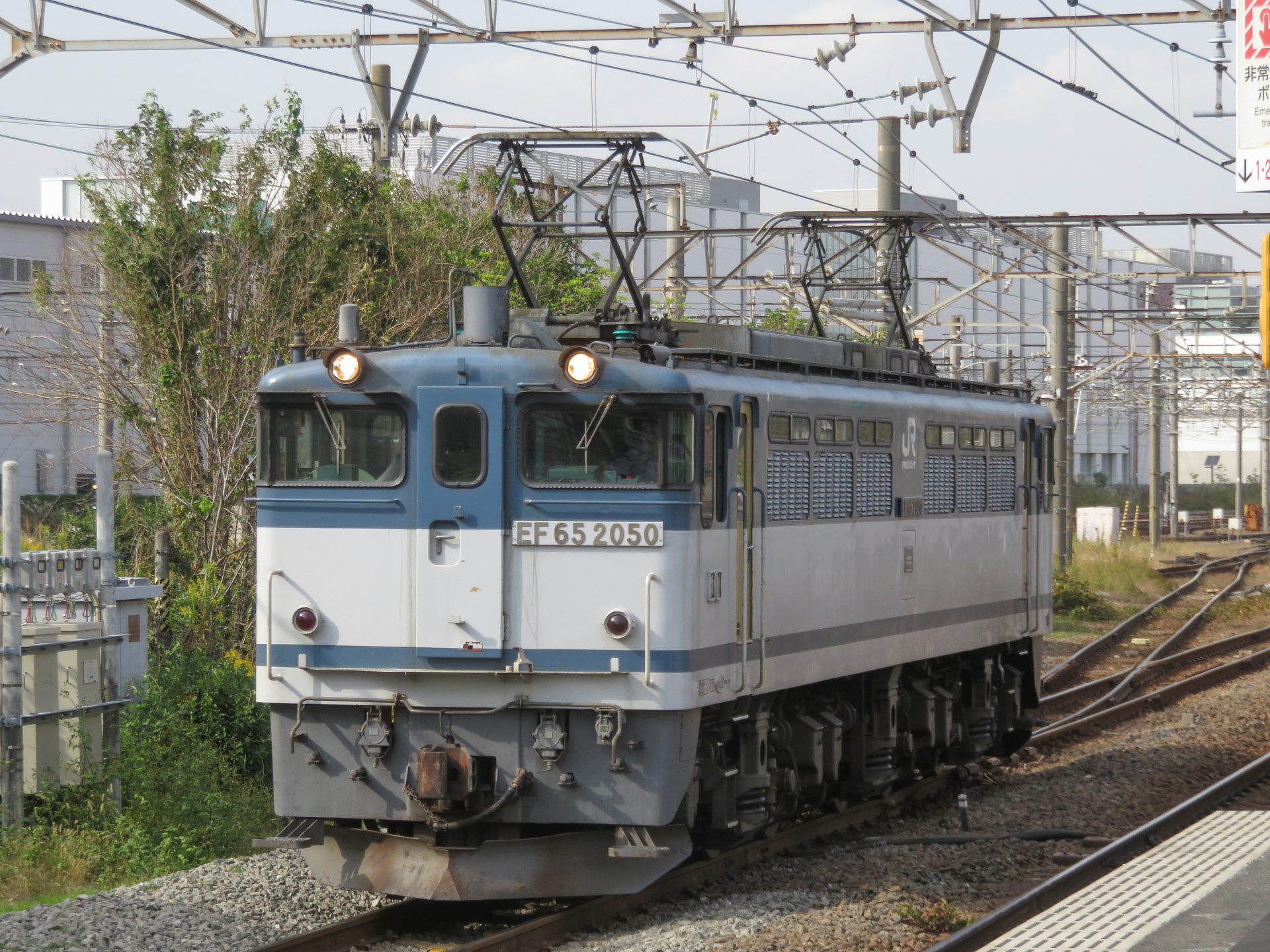 Nippon Sharyo EF65 – photo 9