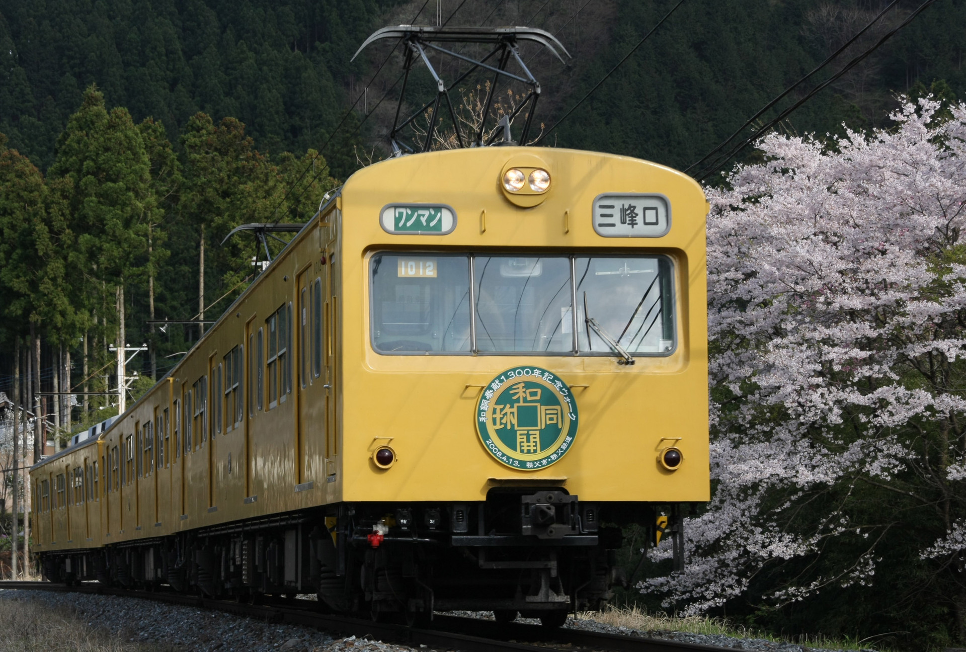 JR East Chichibu 1000 series – foto 2