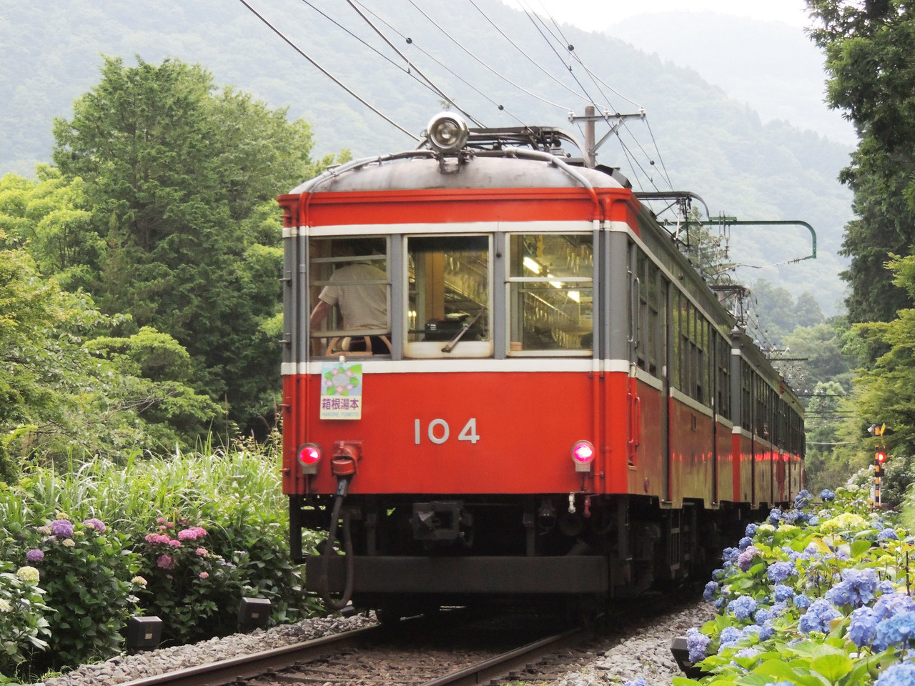 Tokyu Car Hakone Tozan Moha 1 – Foto 3