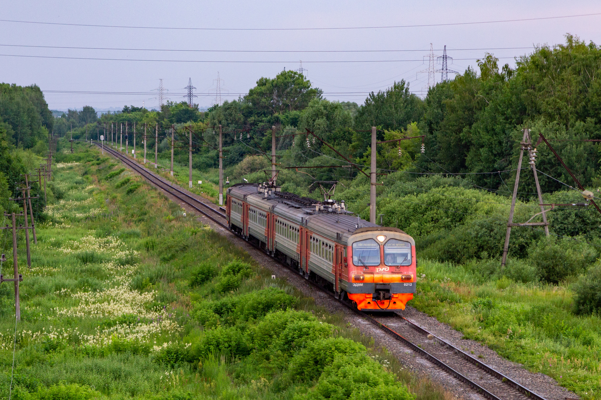 DMZ ED9M – photo 11