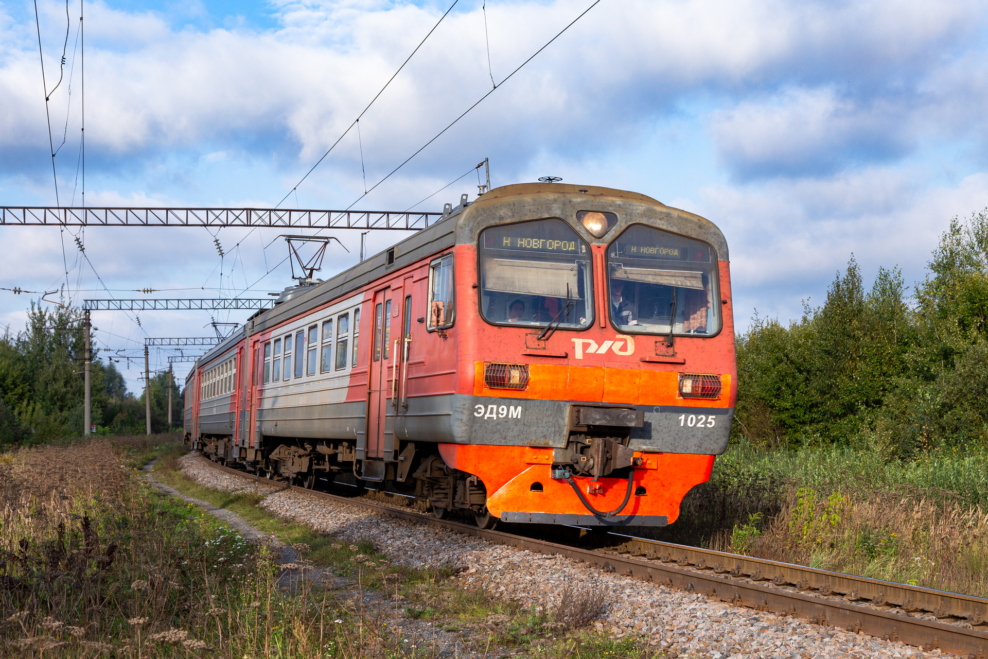 DMZ ED9M – photo 6