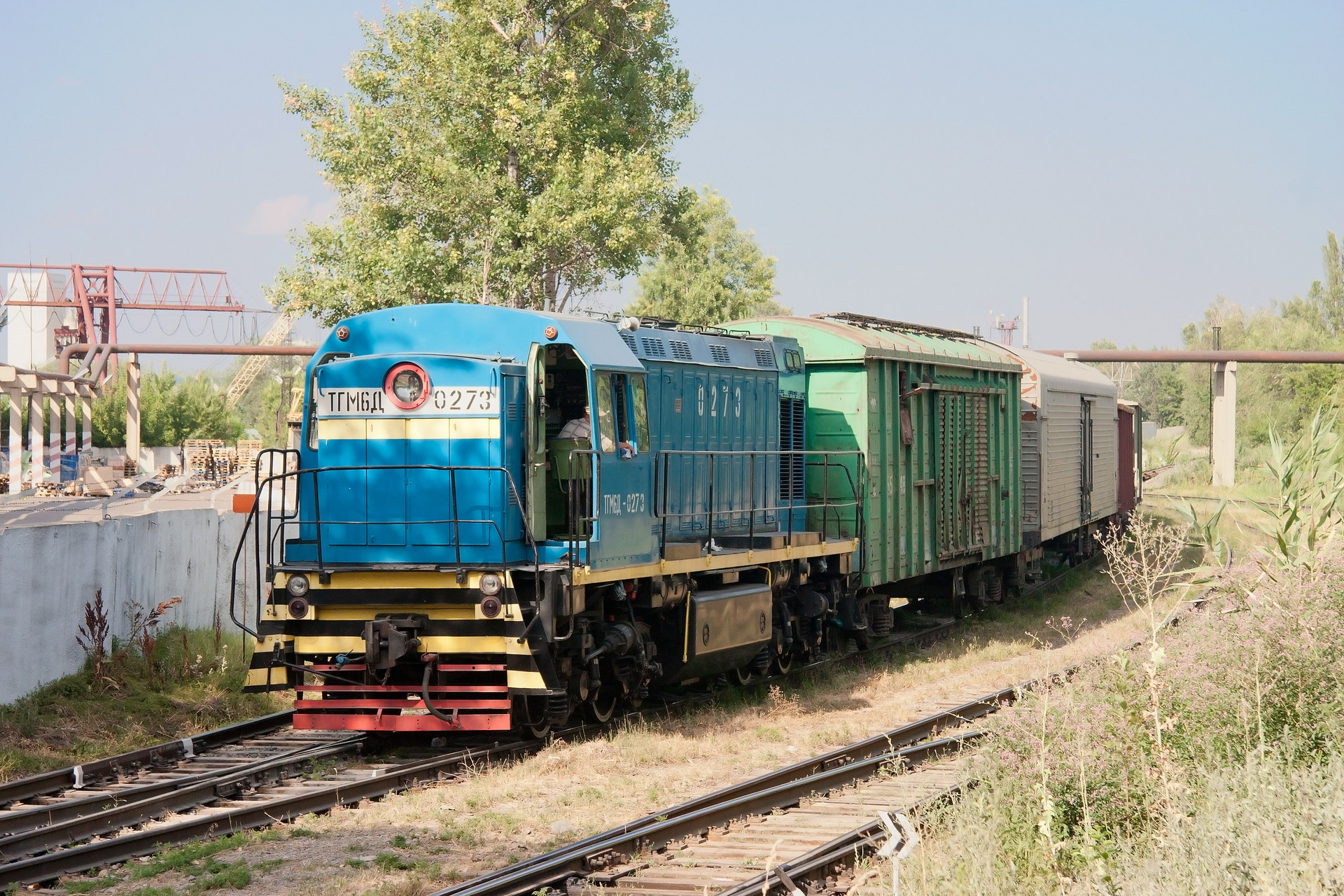 LTZ TGM6D – photo 7