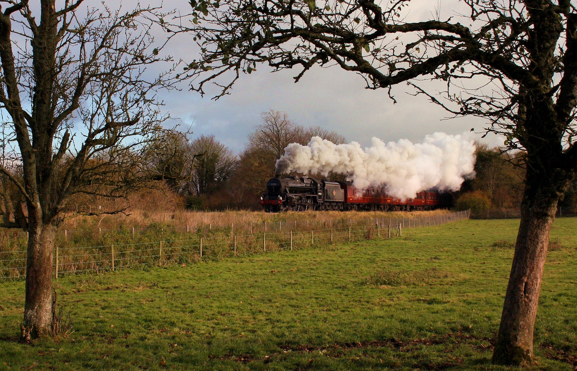 BR LMS 5MT – photo 16