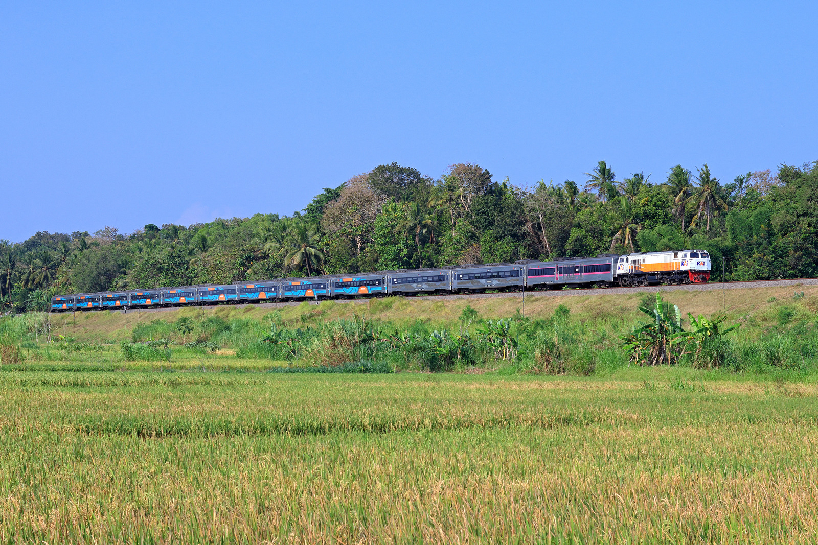 GE CM20EMP – photo 2