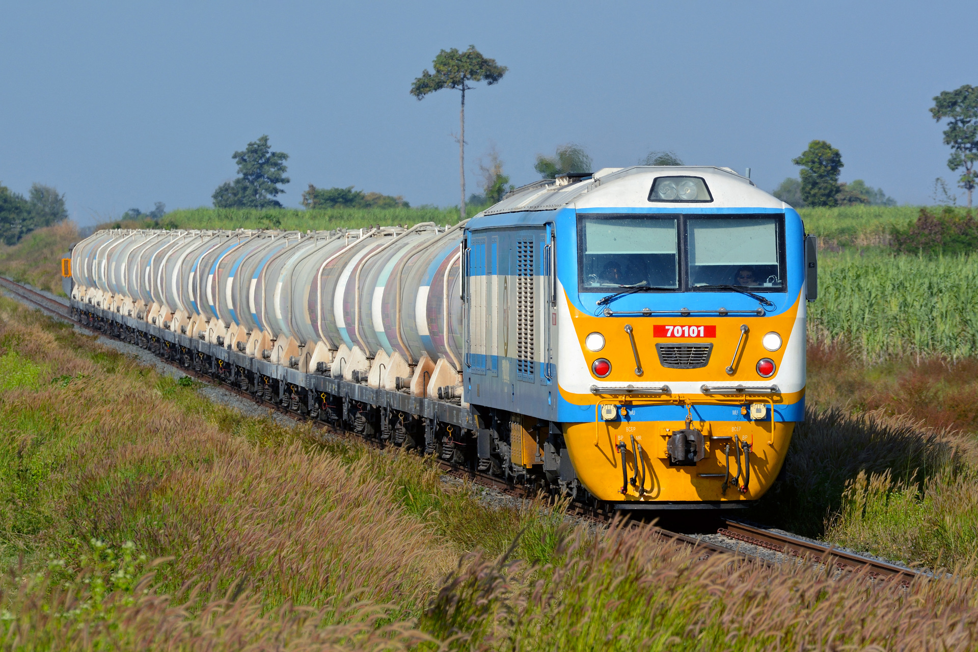 CRRC Ziyang SDA4 – foto 8