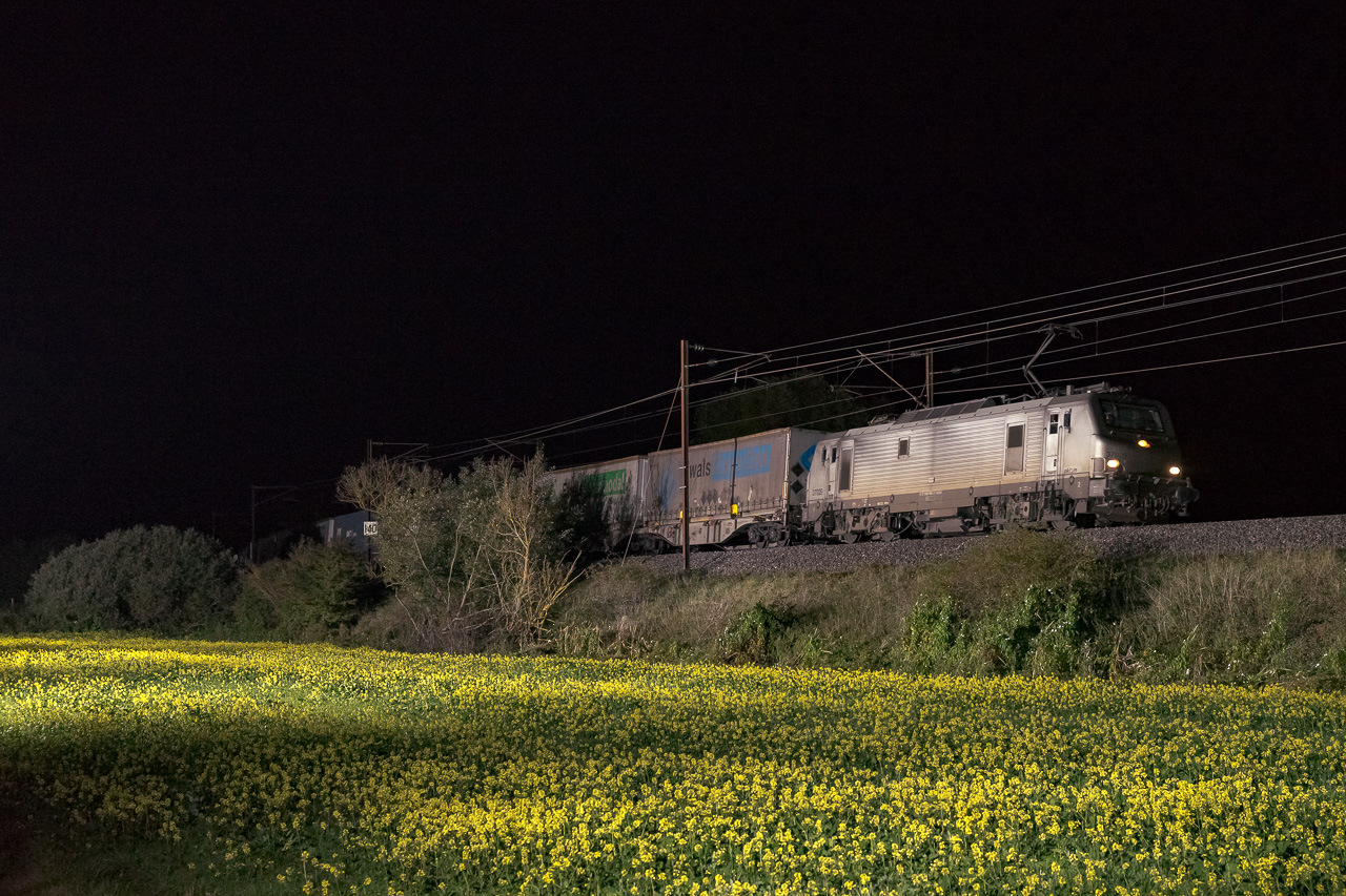 Alstom Prima EL3U – photo 17