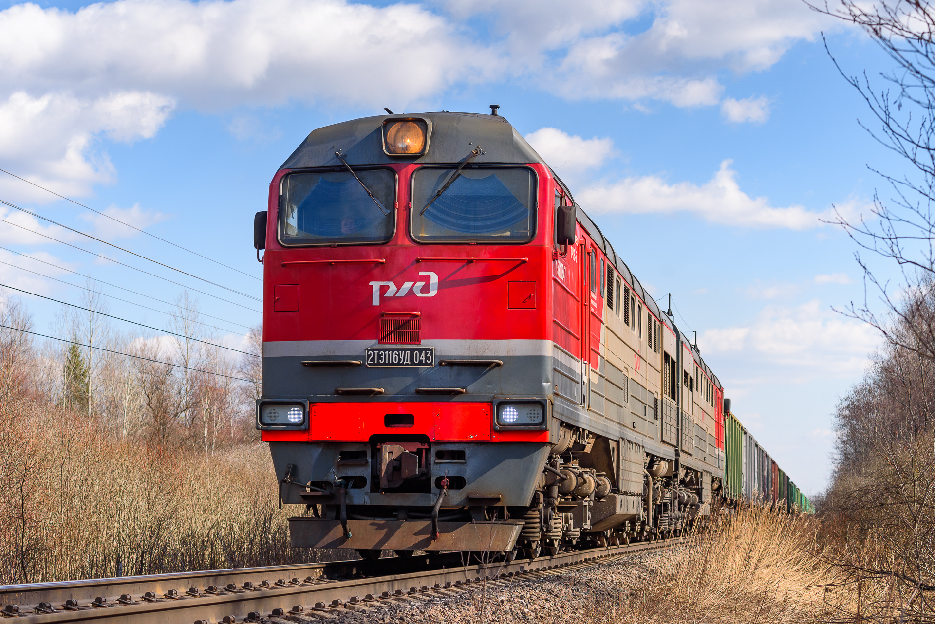 Luhanskteplovoz 2TE116UD – photo 12