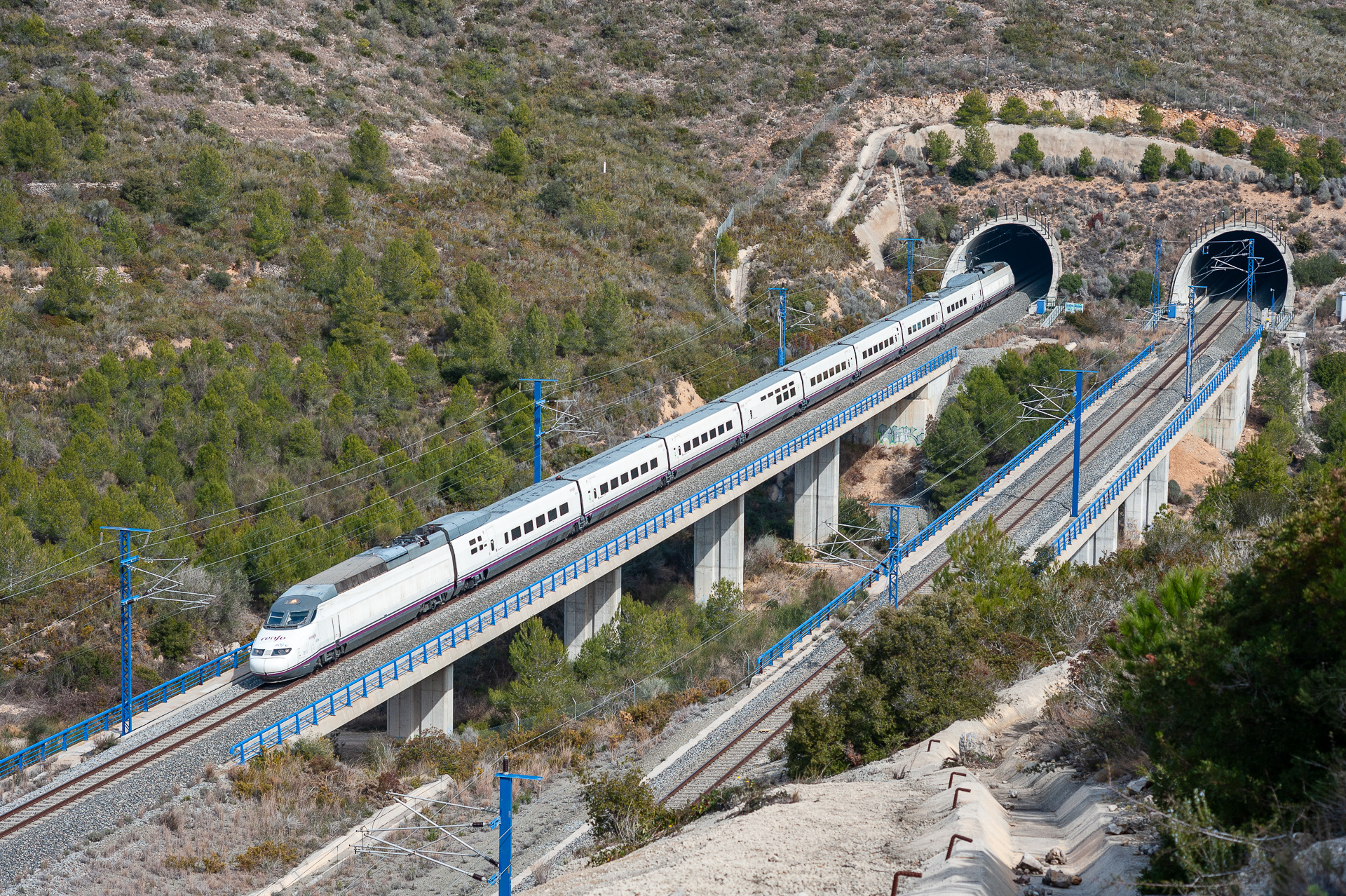 CAF RENFE 100 – photo 16