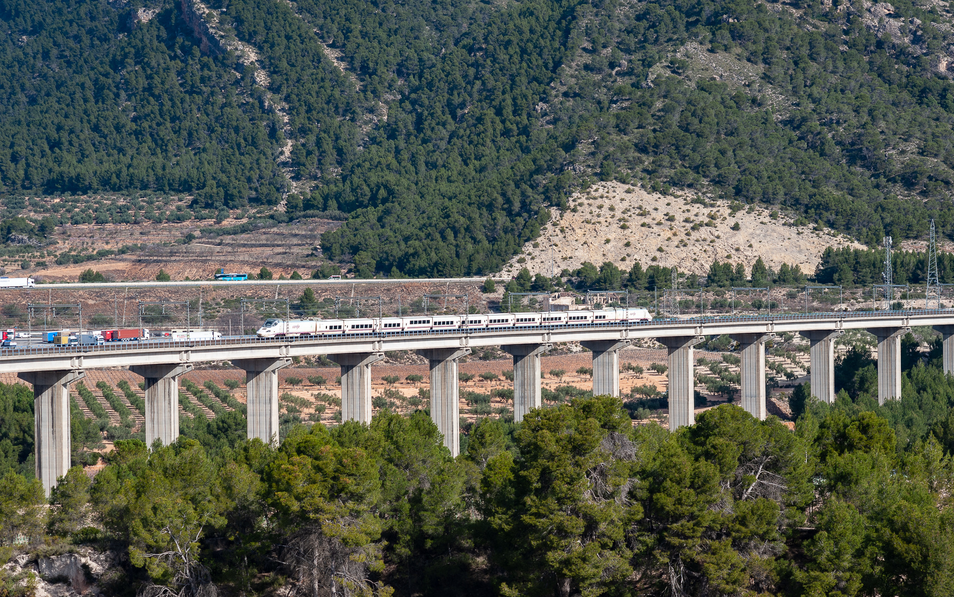 Bombardier RENFE 130 – photo 7
