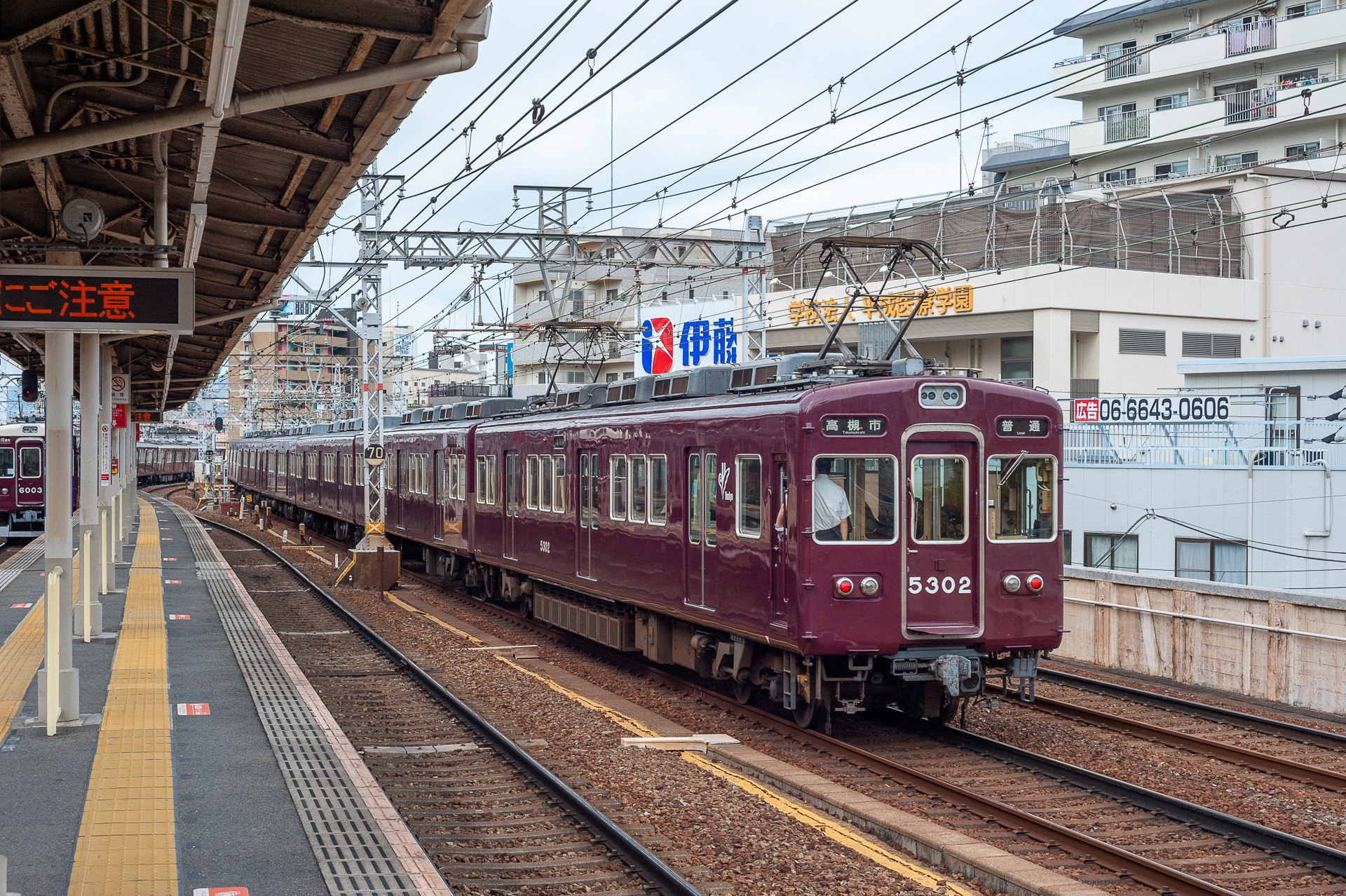 Alna Hankyu 5000 – photo 4