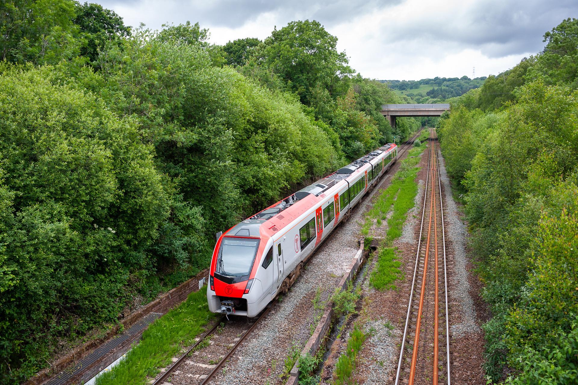 Stadler BR 231 – photo 4