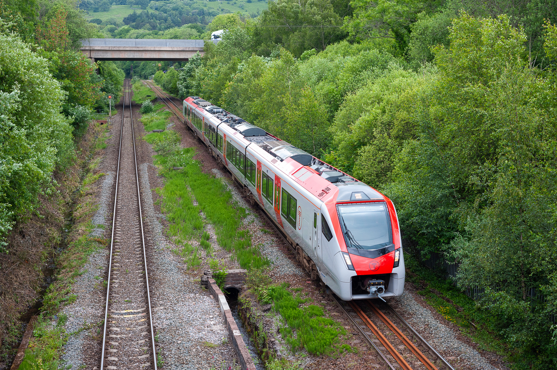 Stadler BR 231 – photo 5