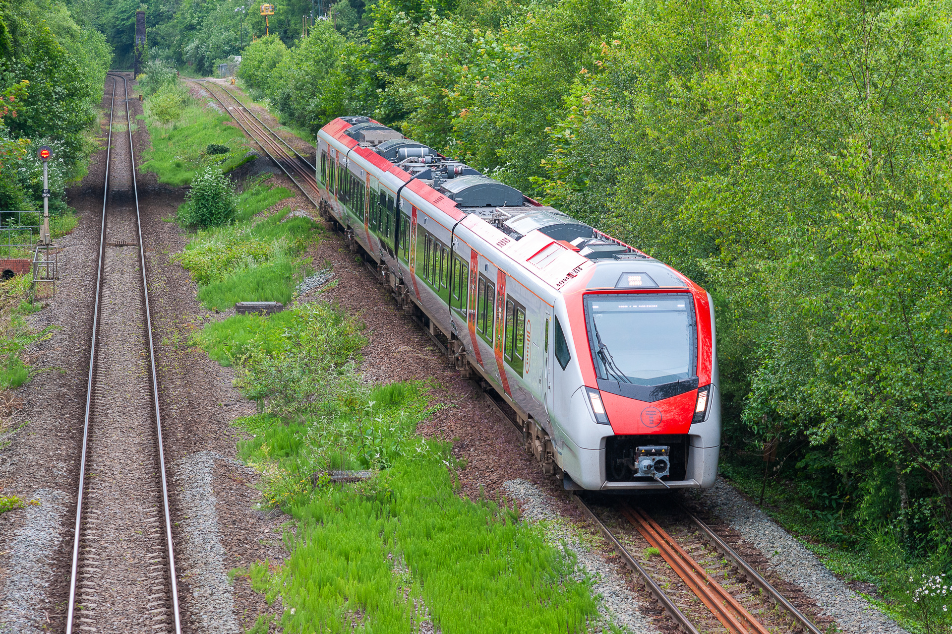 Stadler BR 231 – photo 6