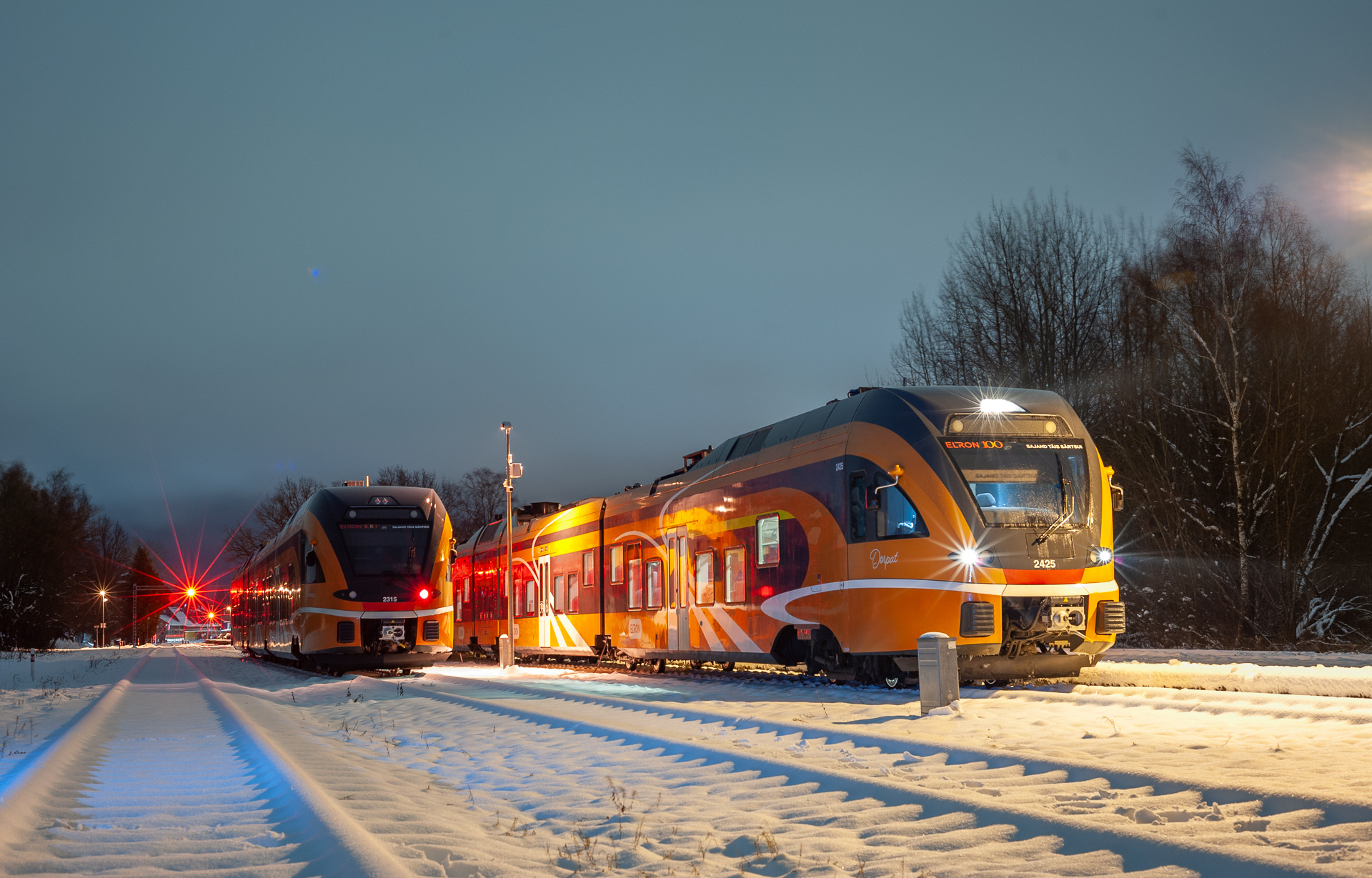 Stadler Flirt 4/12 1520mm – photo 6