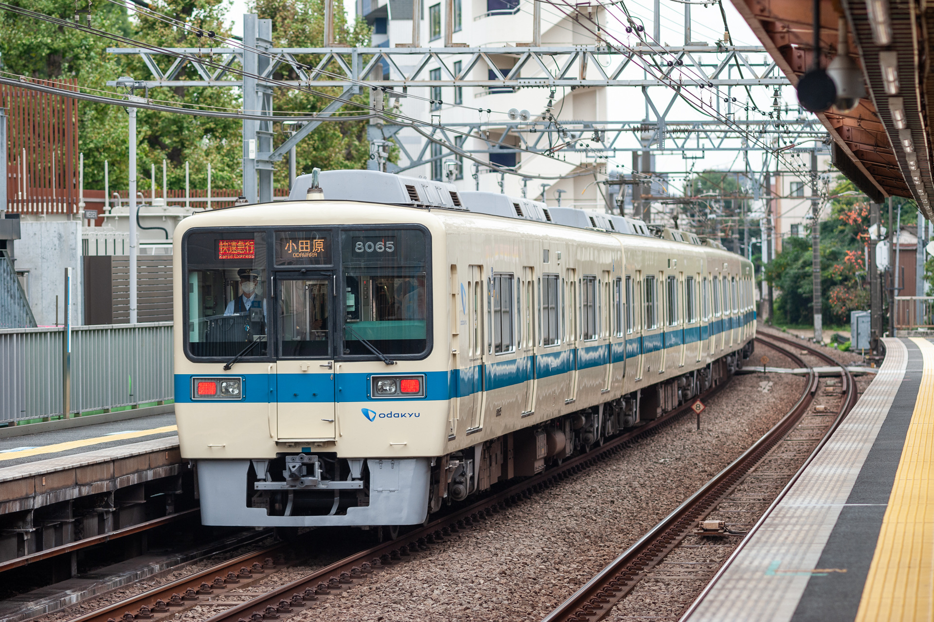 Tokyu Car 8000 – photo 3