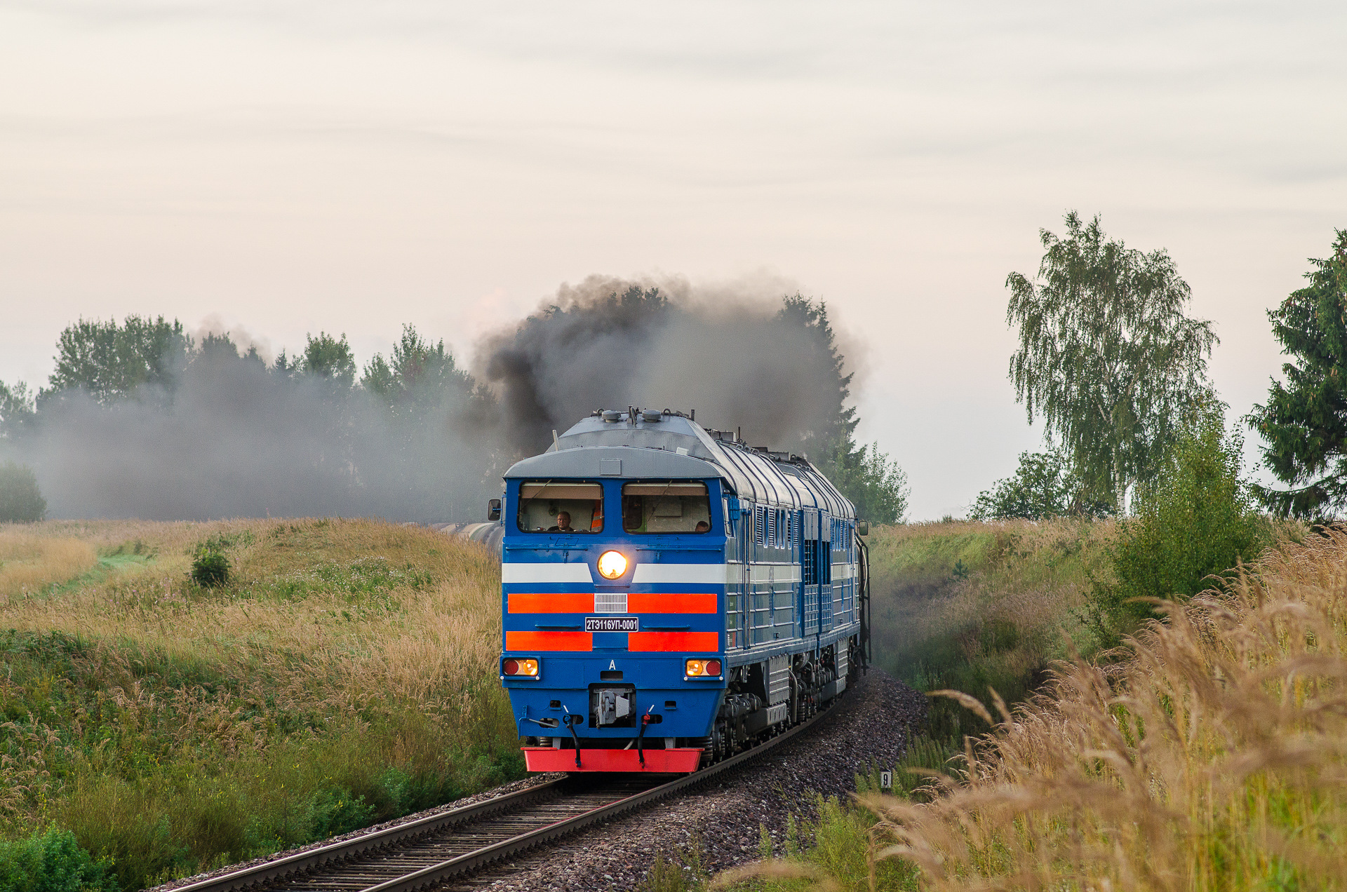 Luhanskteplovoz 2TE116UP – photo 6