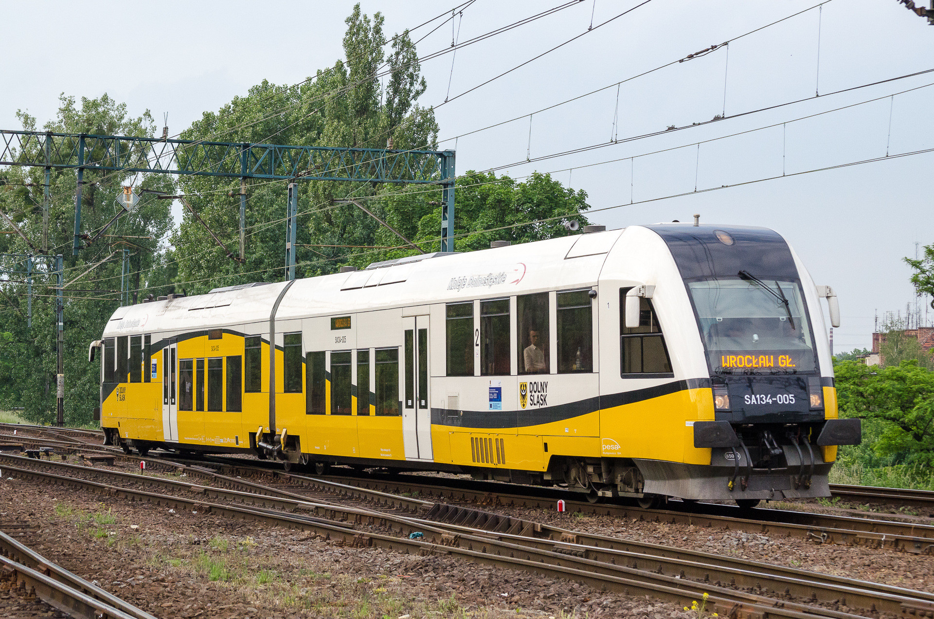 PESA SA134 – photo 6