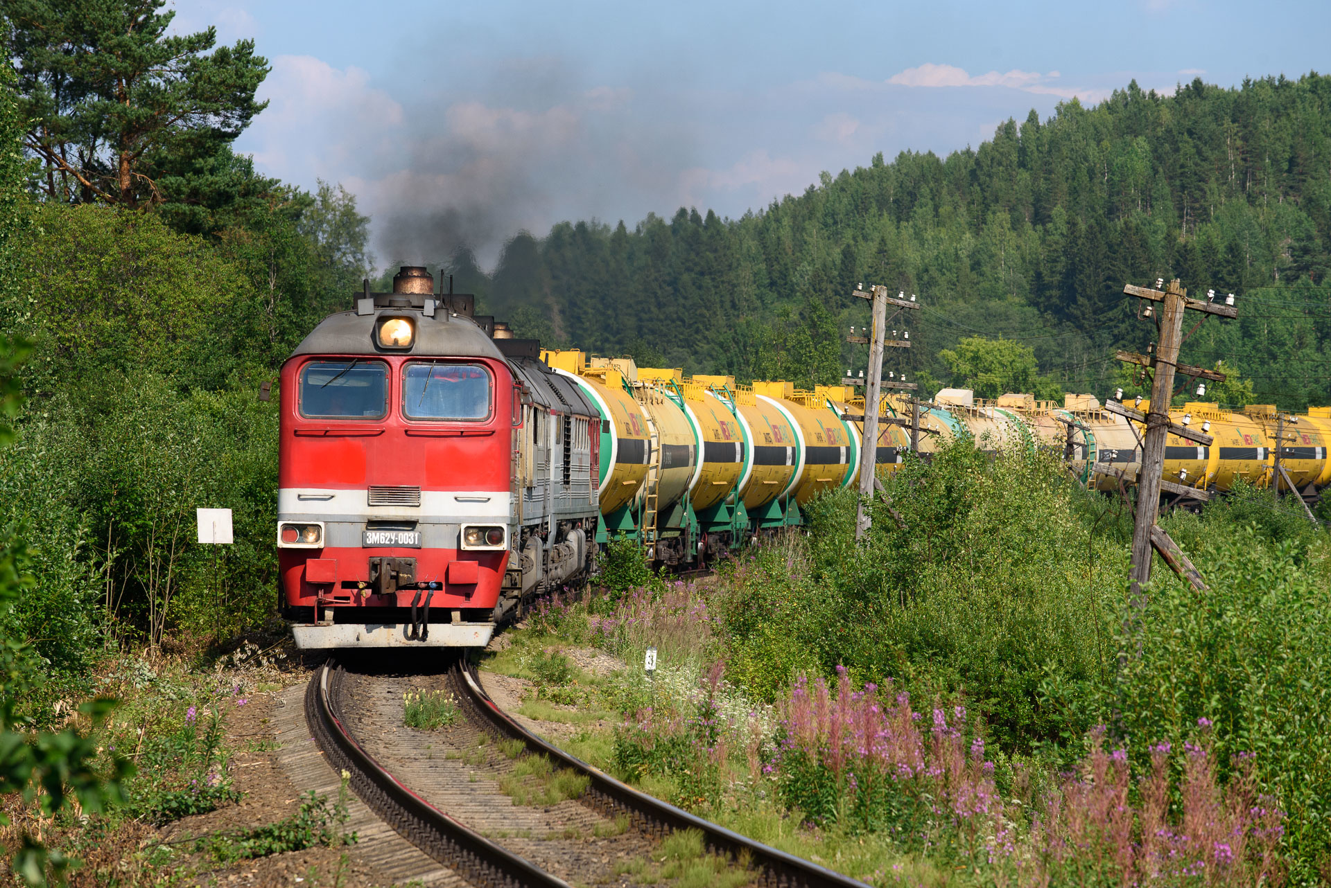 Luhanskteplovoz 3M62U – photo 13