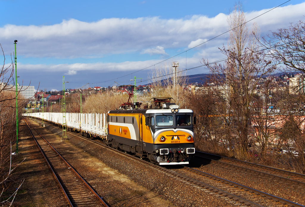 ASEA MMV 0470 – photo 4