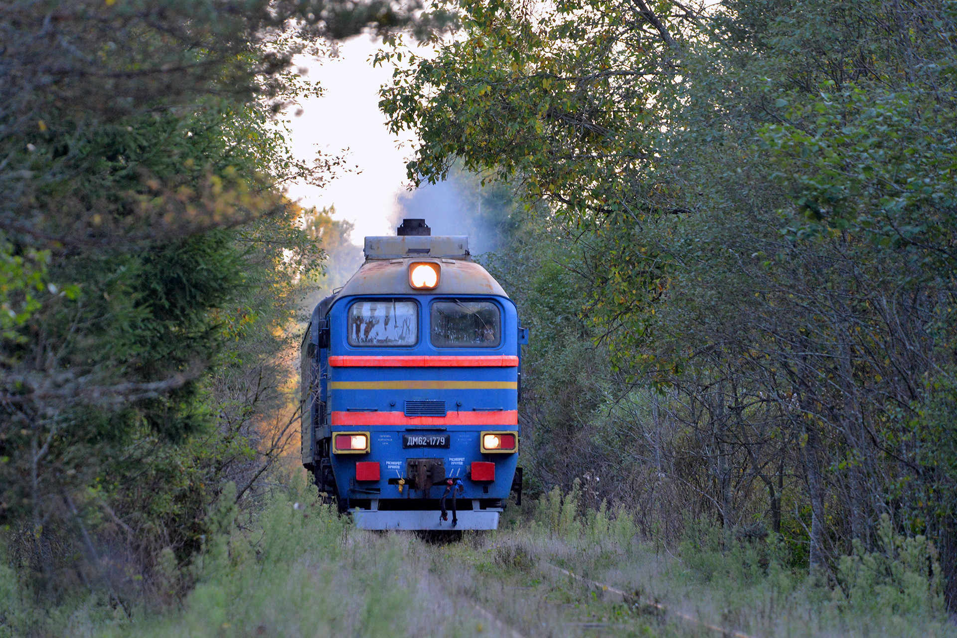 Luhanskteplovoz DM62 – photo 18