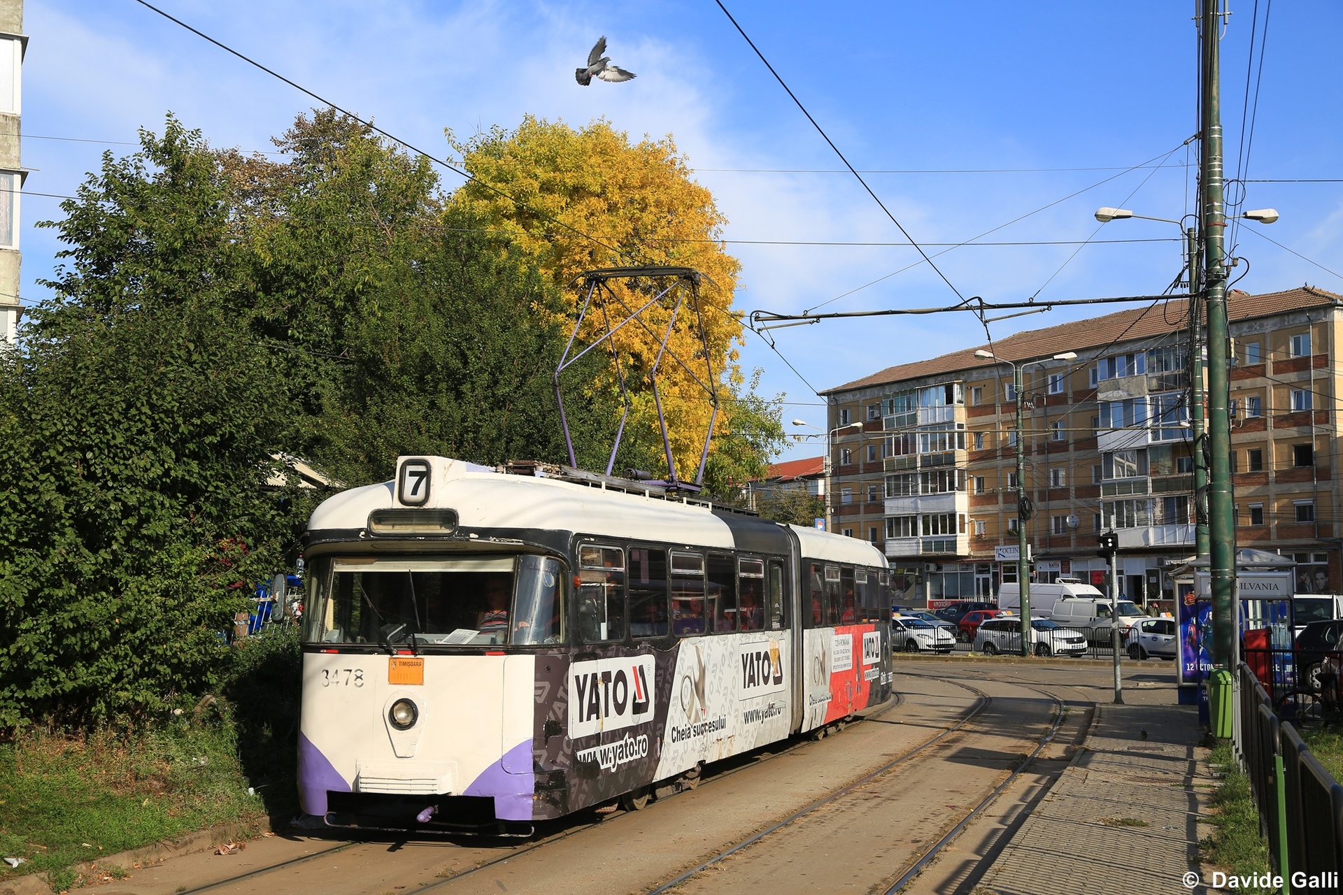 Rathgeber P3.16 – foto 6