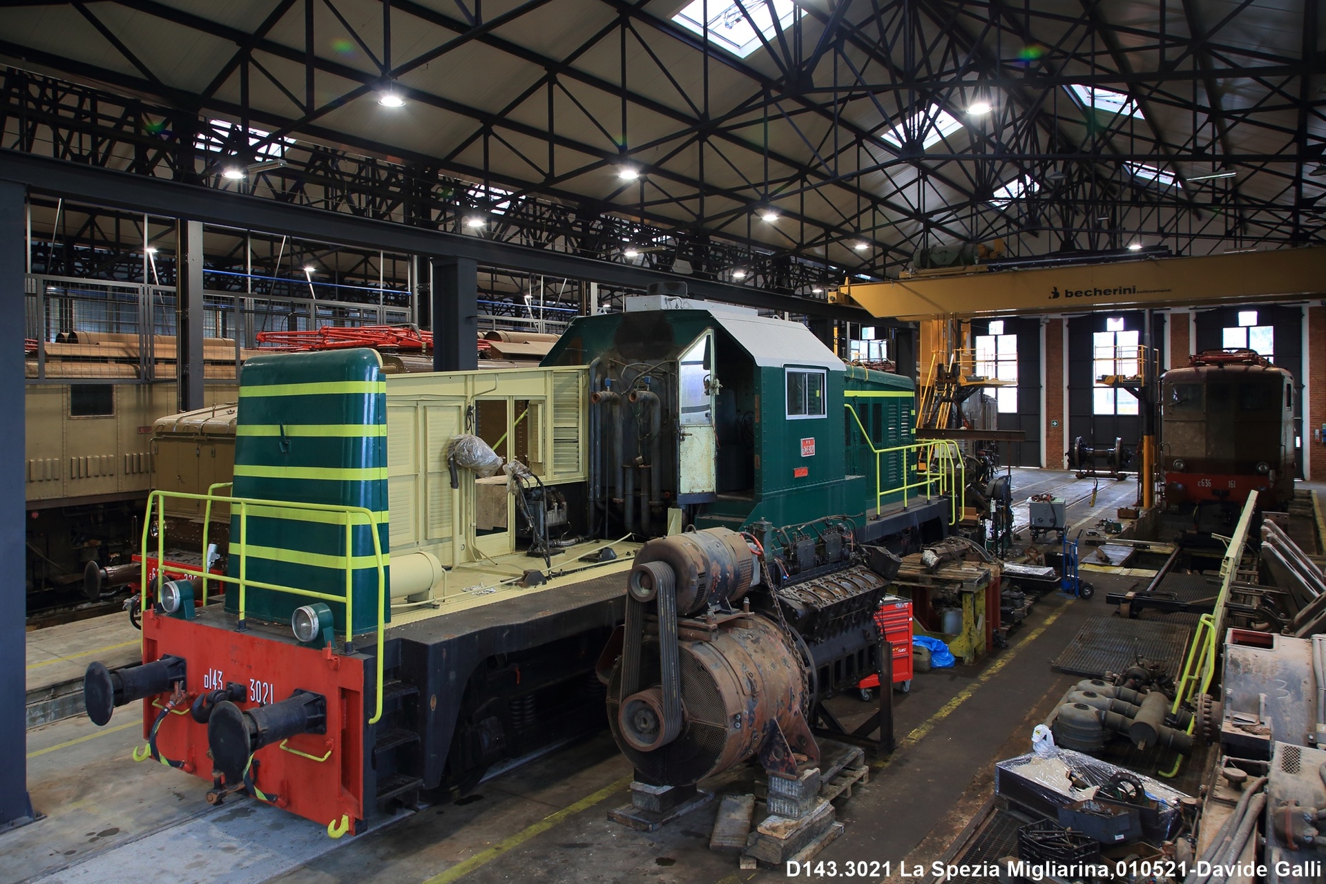 TIBB D143 – photo 3