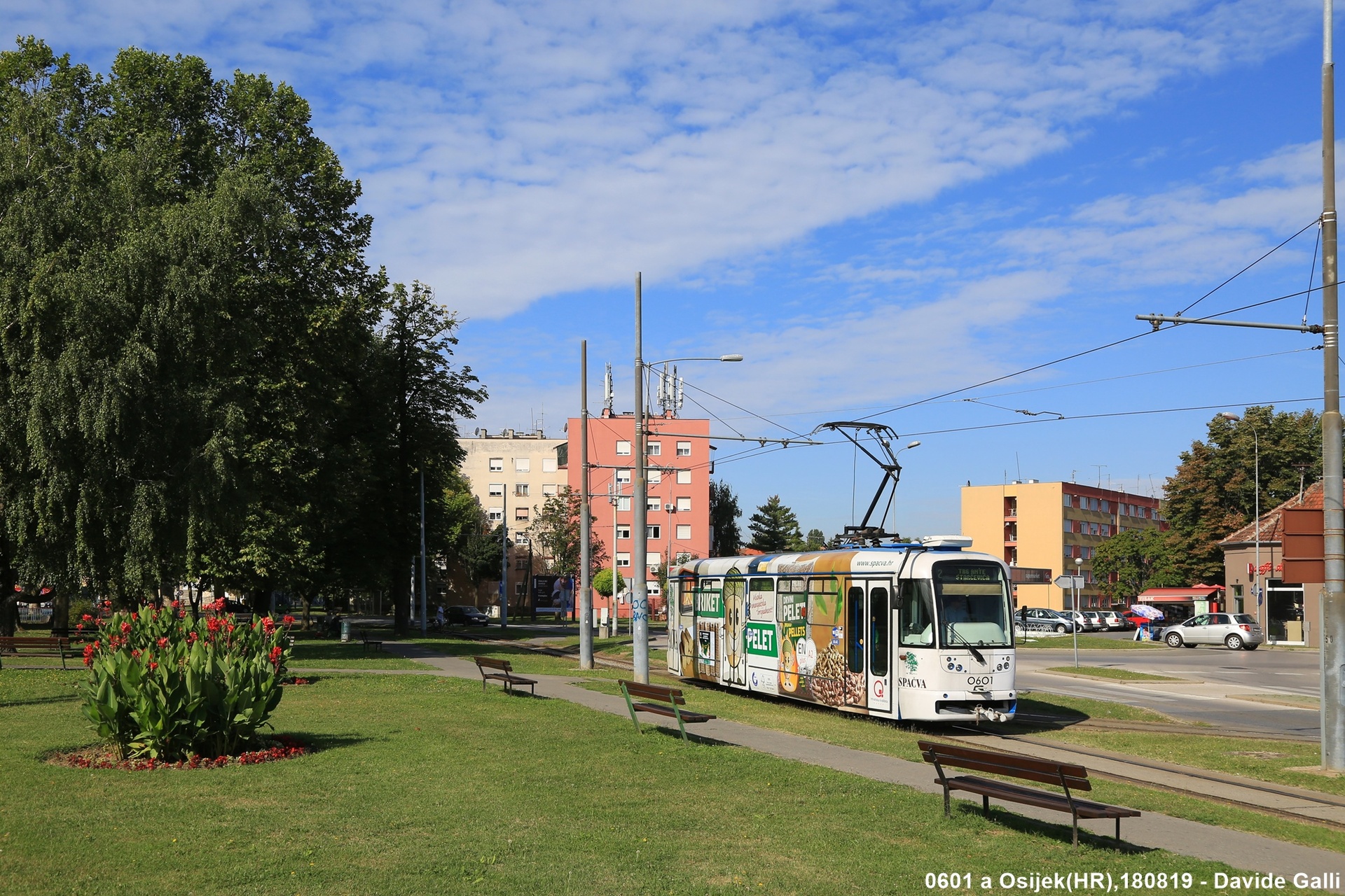 TW Team T3R.PV – foto 3