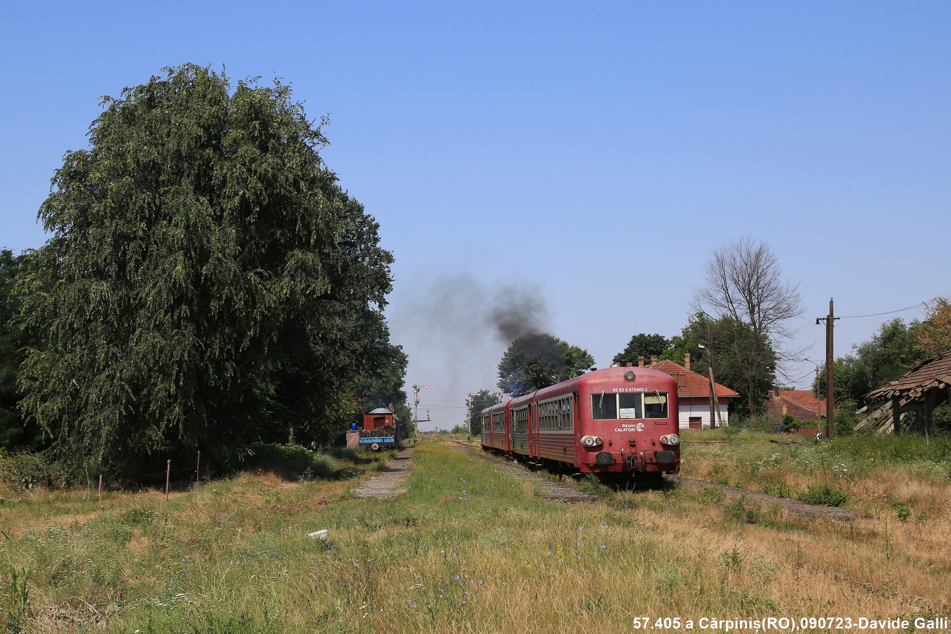 ANF X 4630 – photo 20