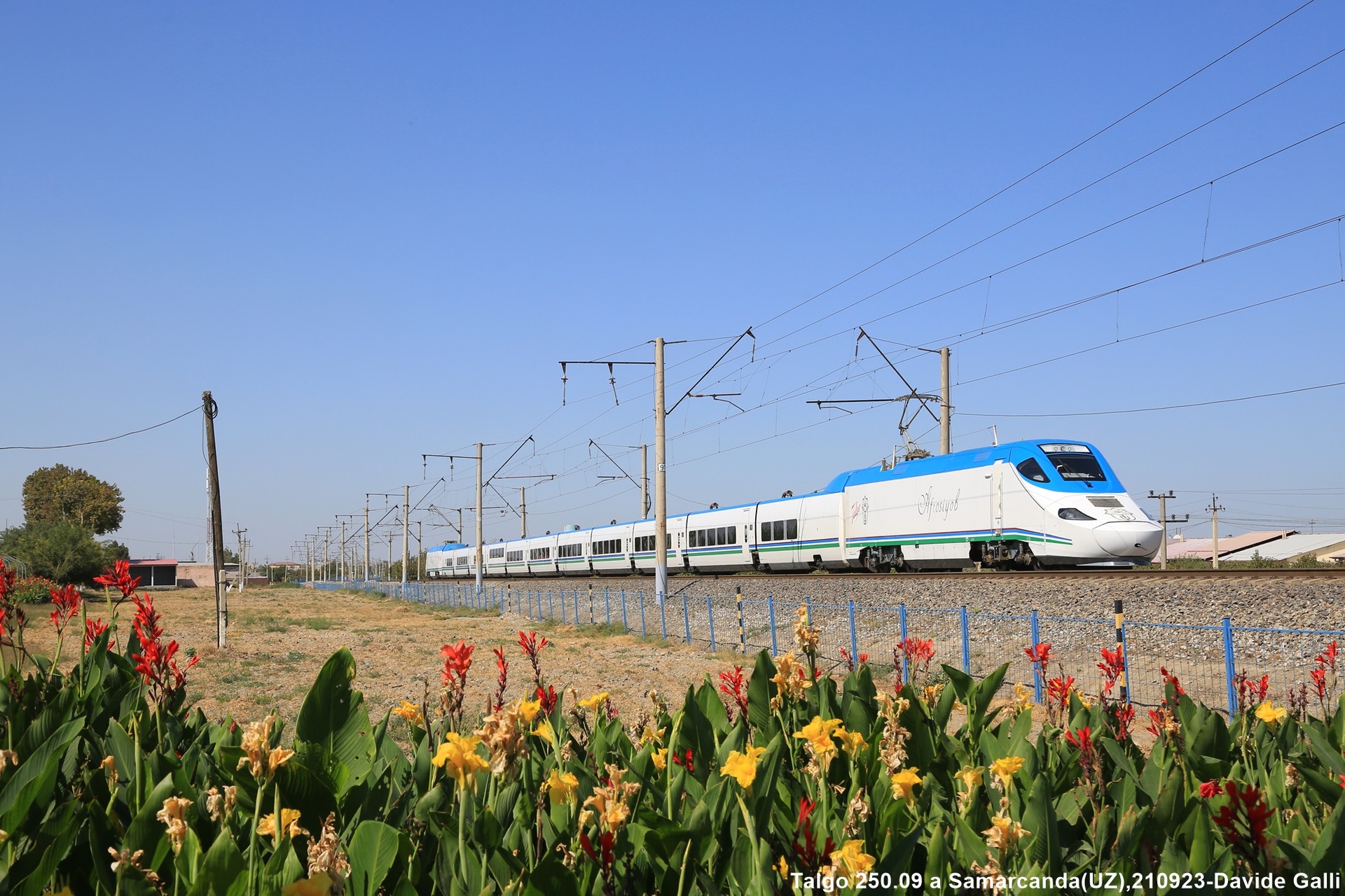 Bombardier Afrosiyob – photo 2