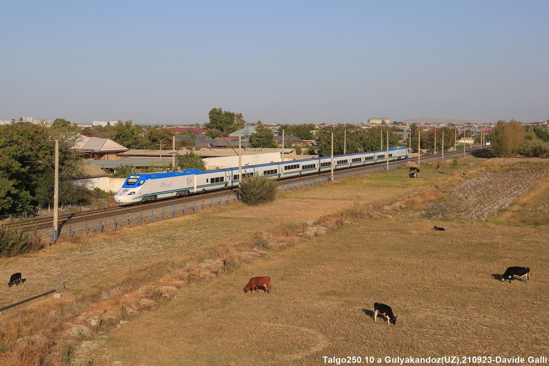 Bombardier Afrosiyob – photo 3