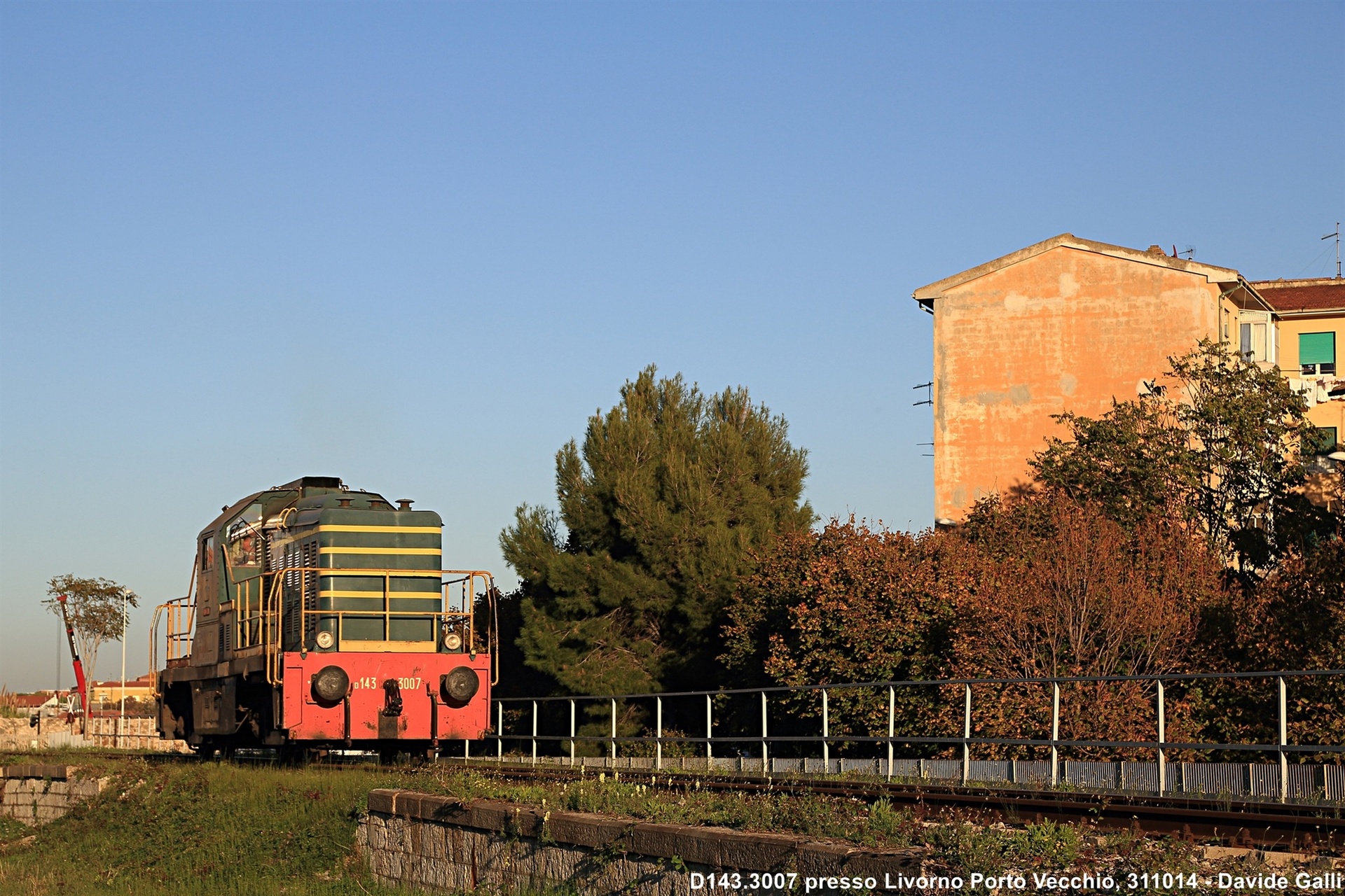 TIBB D143 – photo 6