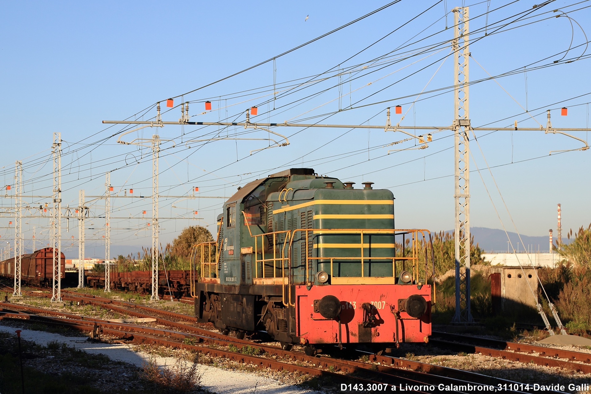 TIBB D143 – photo 9