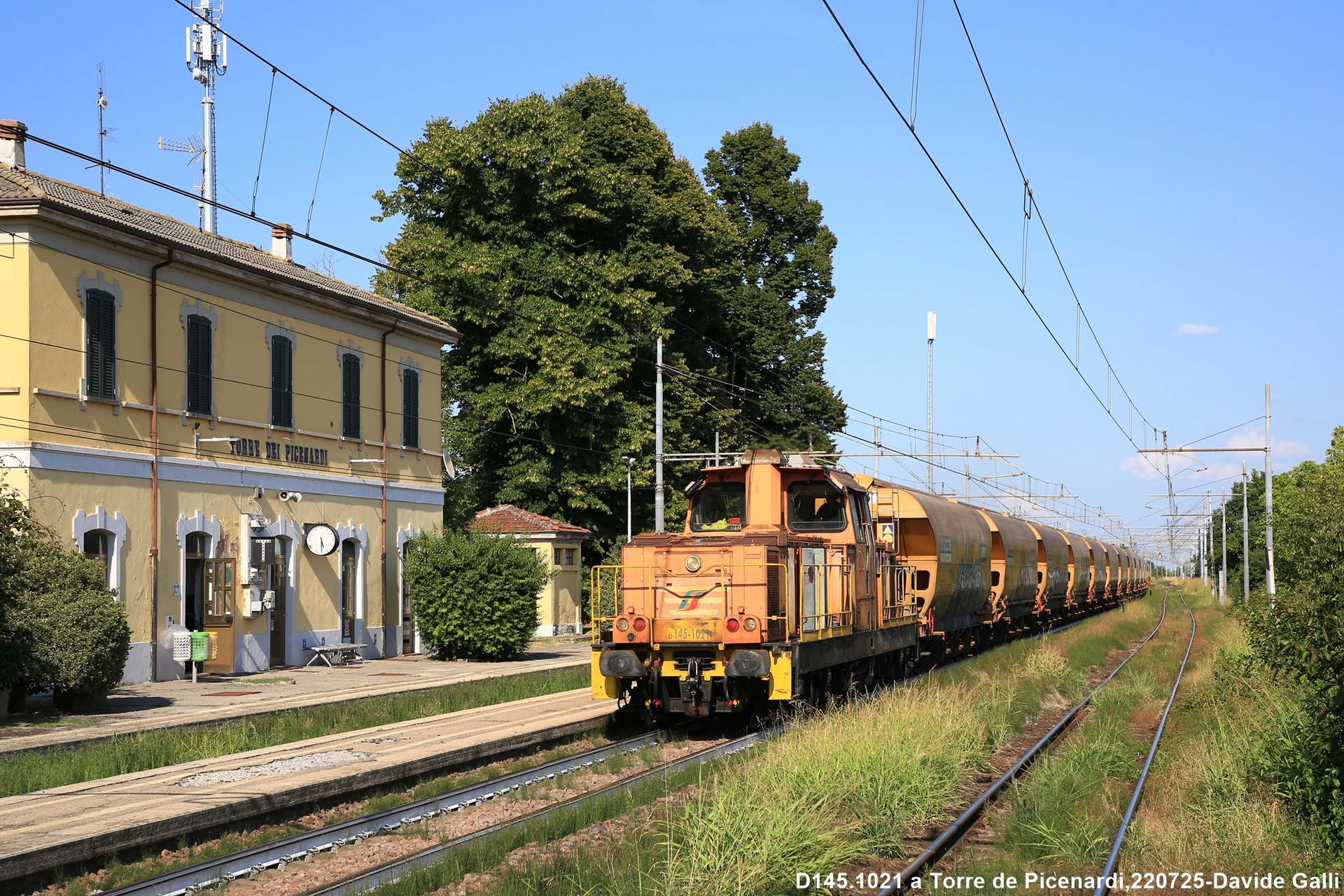 Fiat D145 – photo 15