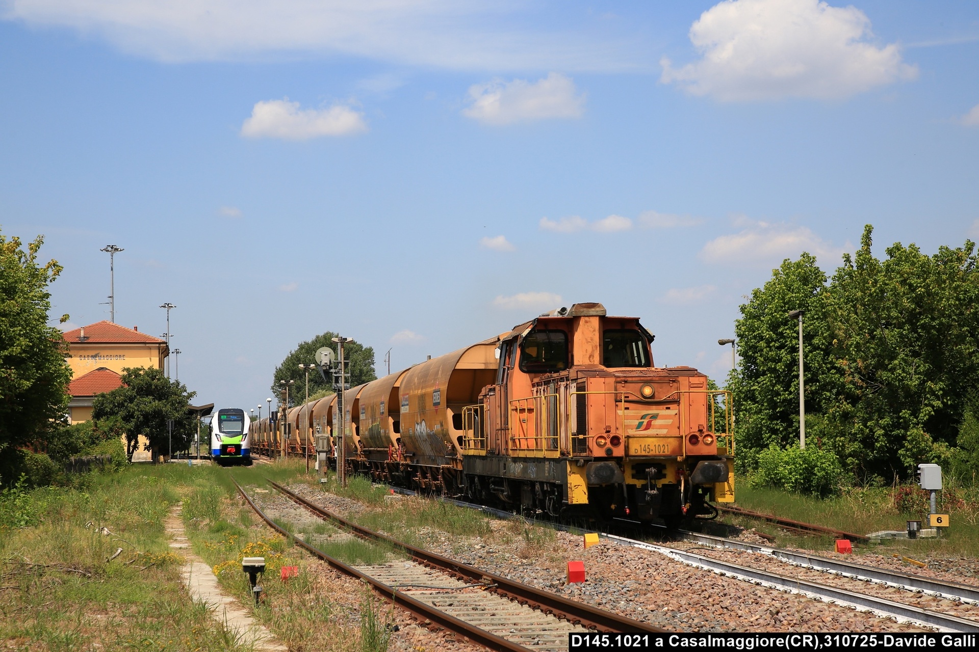 Fiat D145 – photo 9
