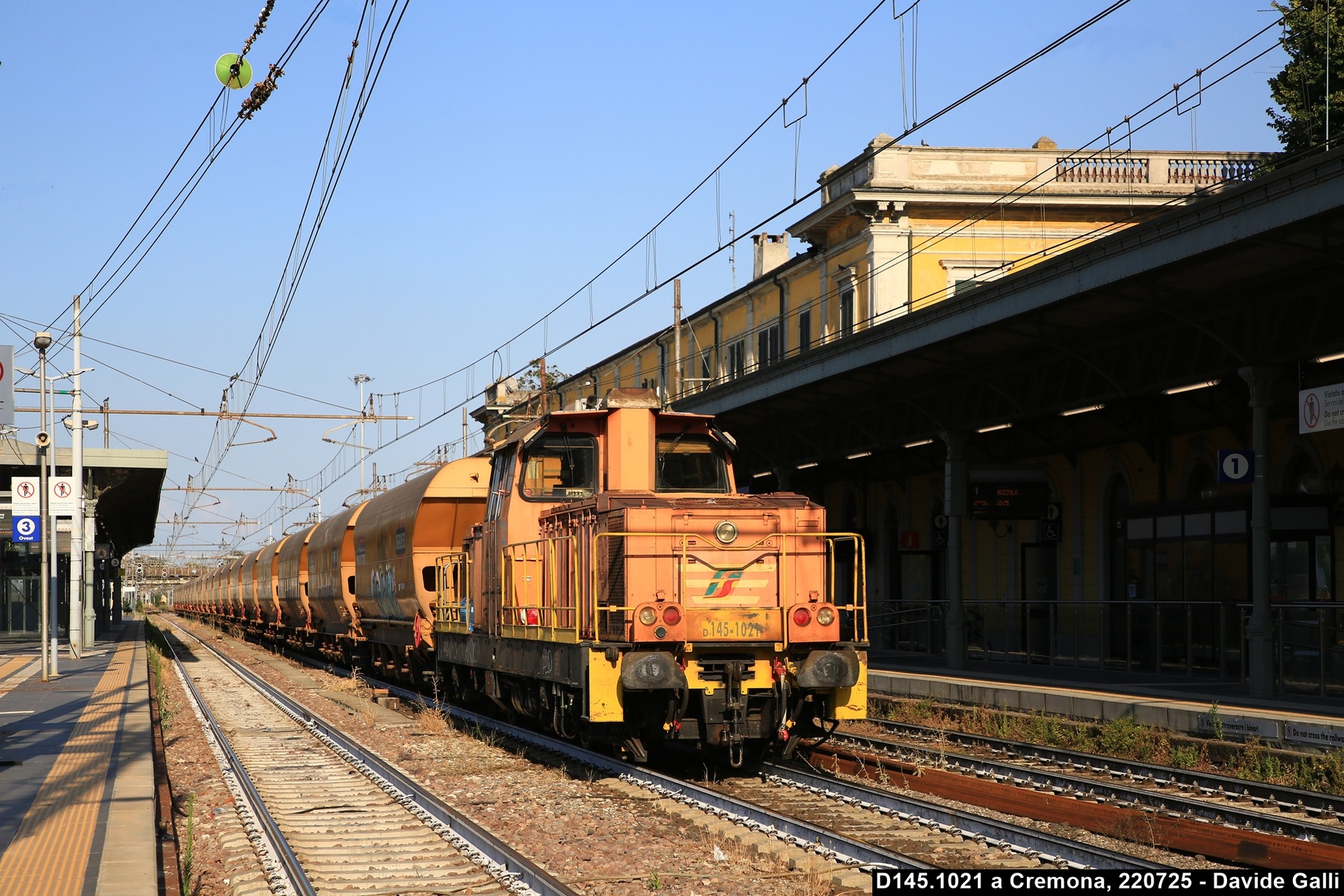 Fiat D145 – photo 18