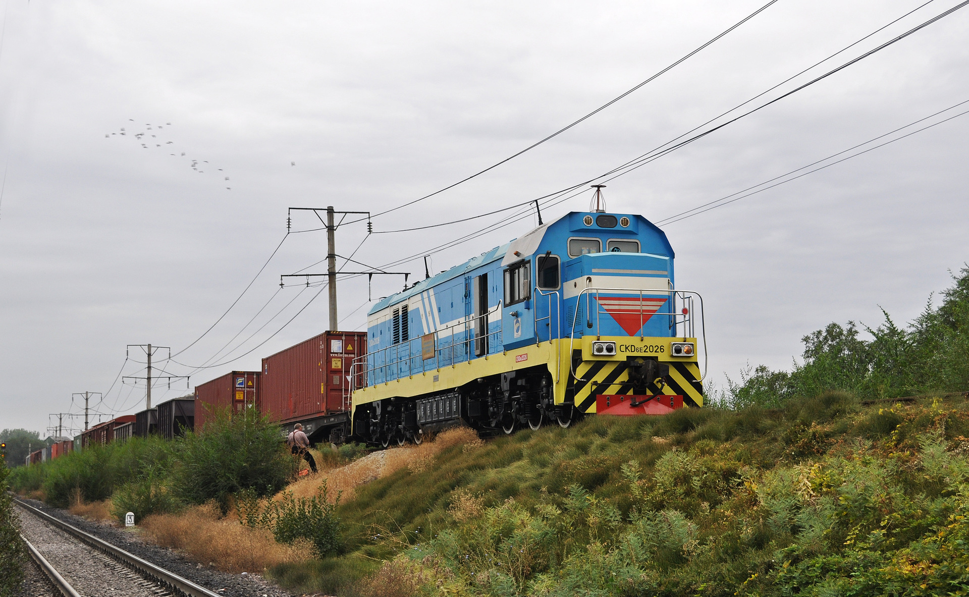 CRRC Ziyang CKD6E – foto 22