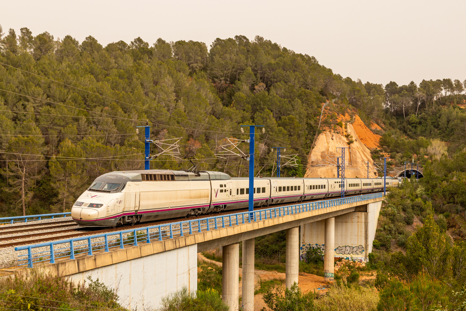 CAF RENFE 100 – photo 7