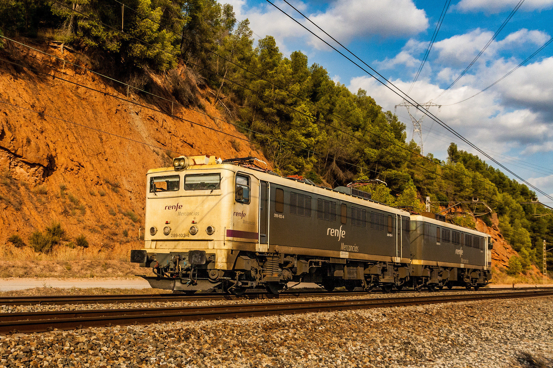 CAF 289-100 – photo 7