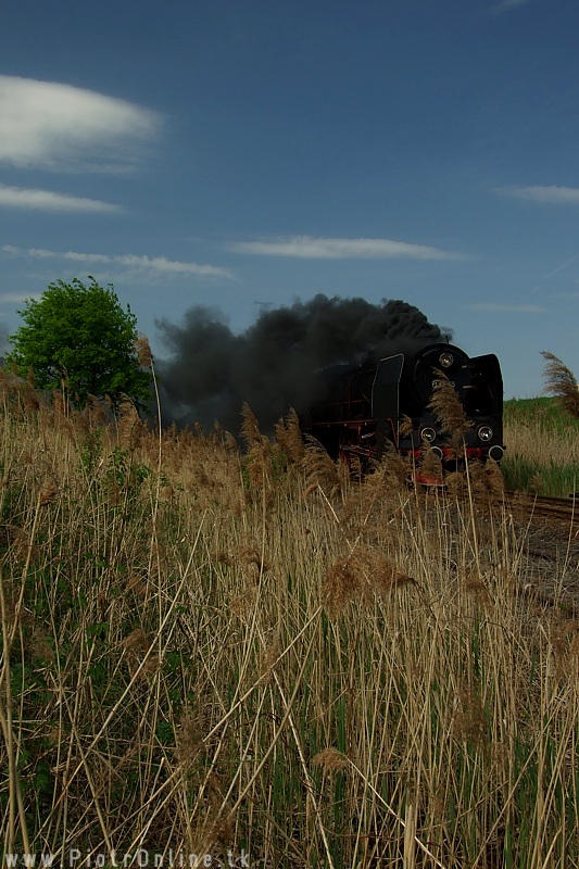 Cegielski Pt47 – photo 12