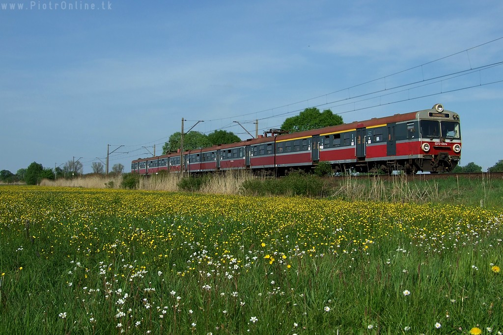 Pafawag ED72 – photo 4