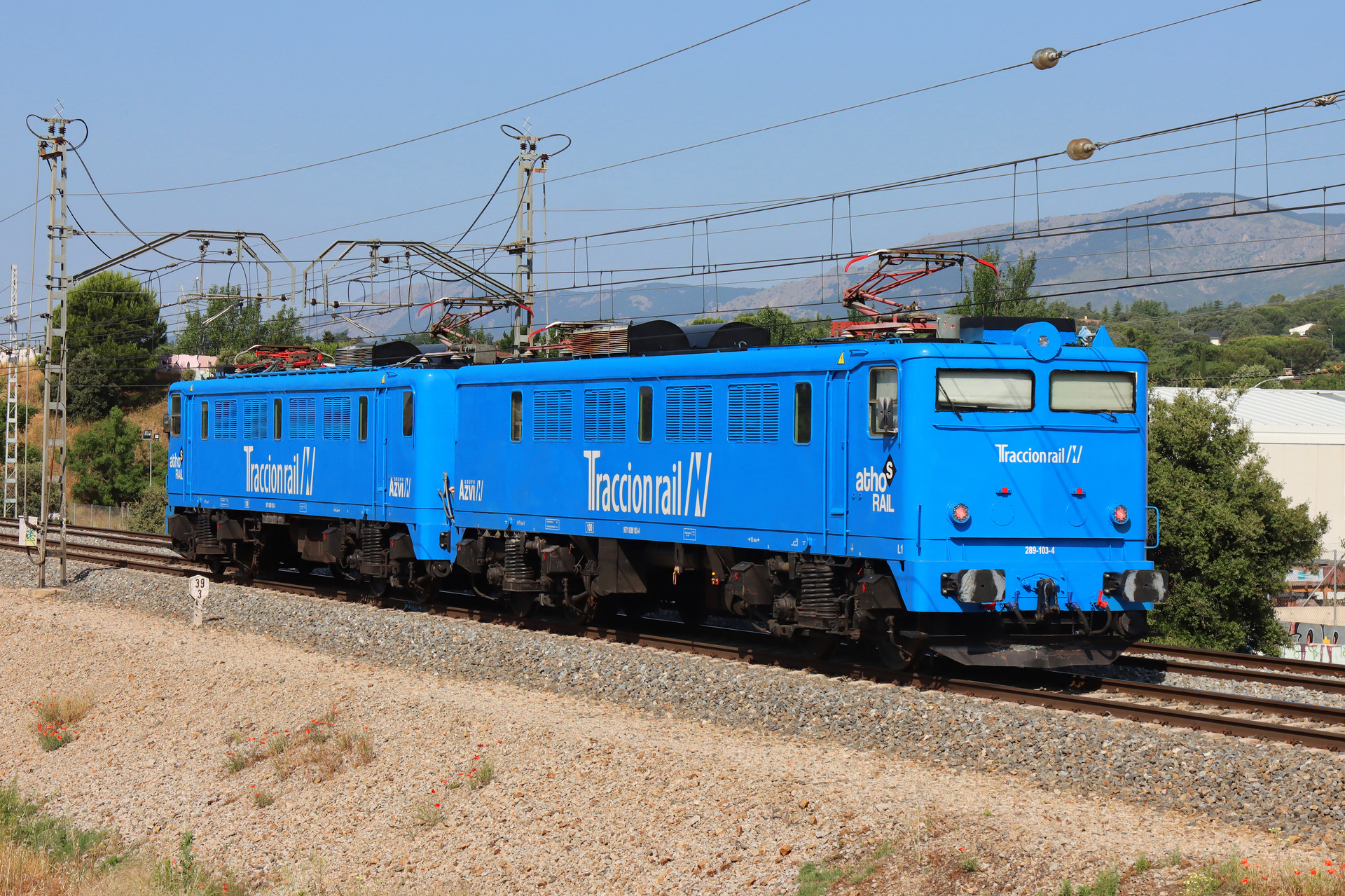 CAF 289-100 – photo 3
