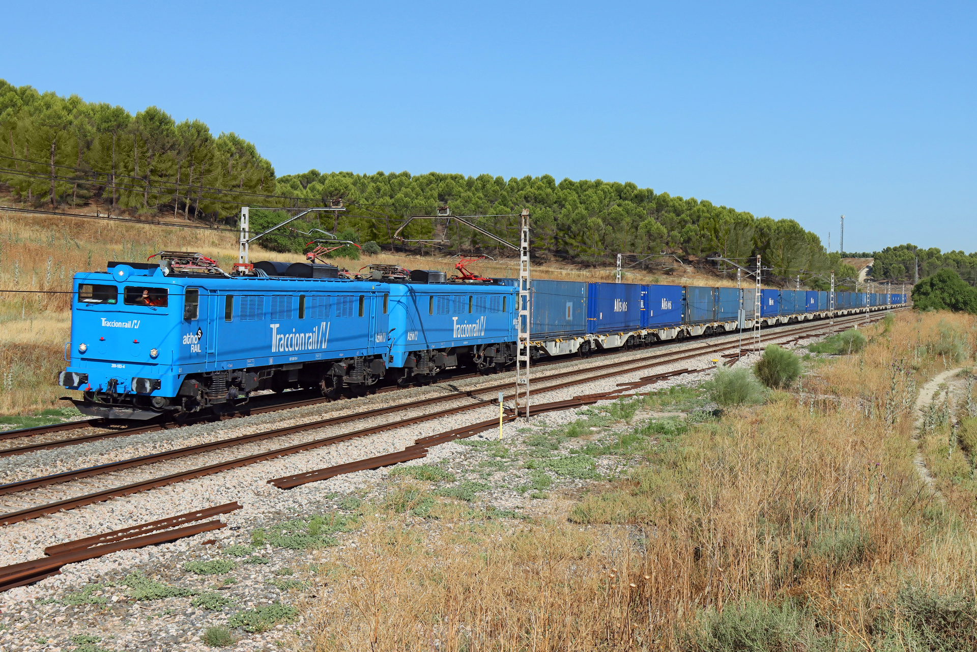 CAF 289-100 – photo 2
