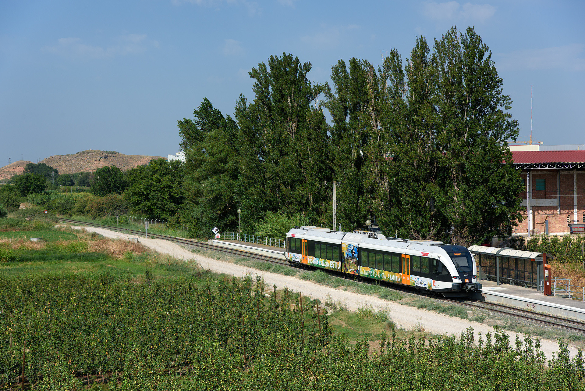 Stadler FGC 331 – photo 10