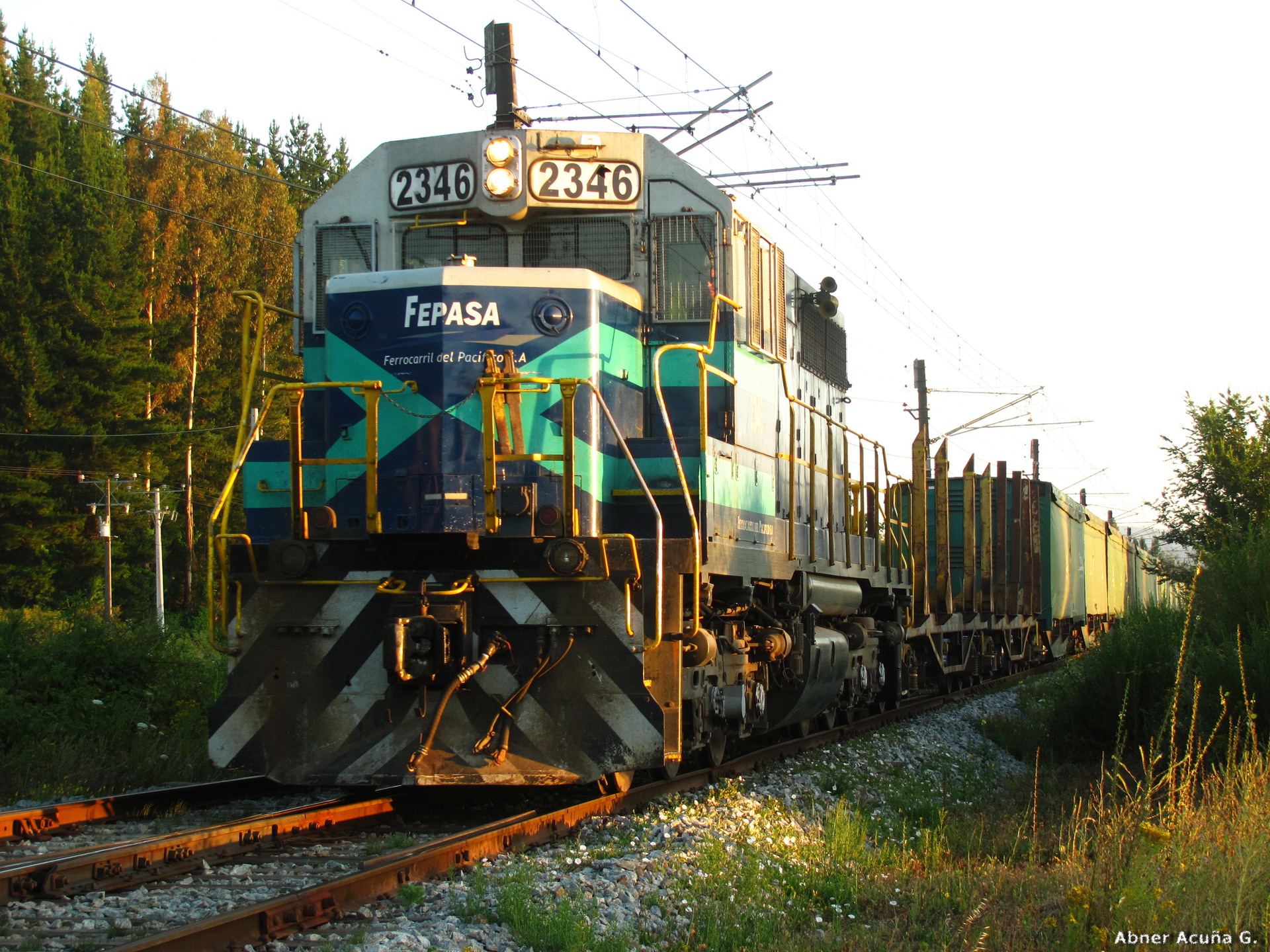 EMD SDL39 Chile – photo 4